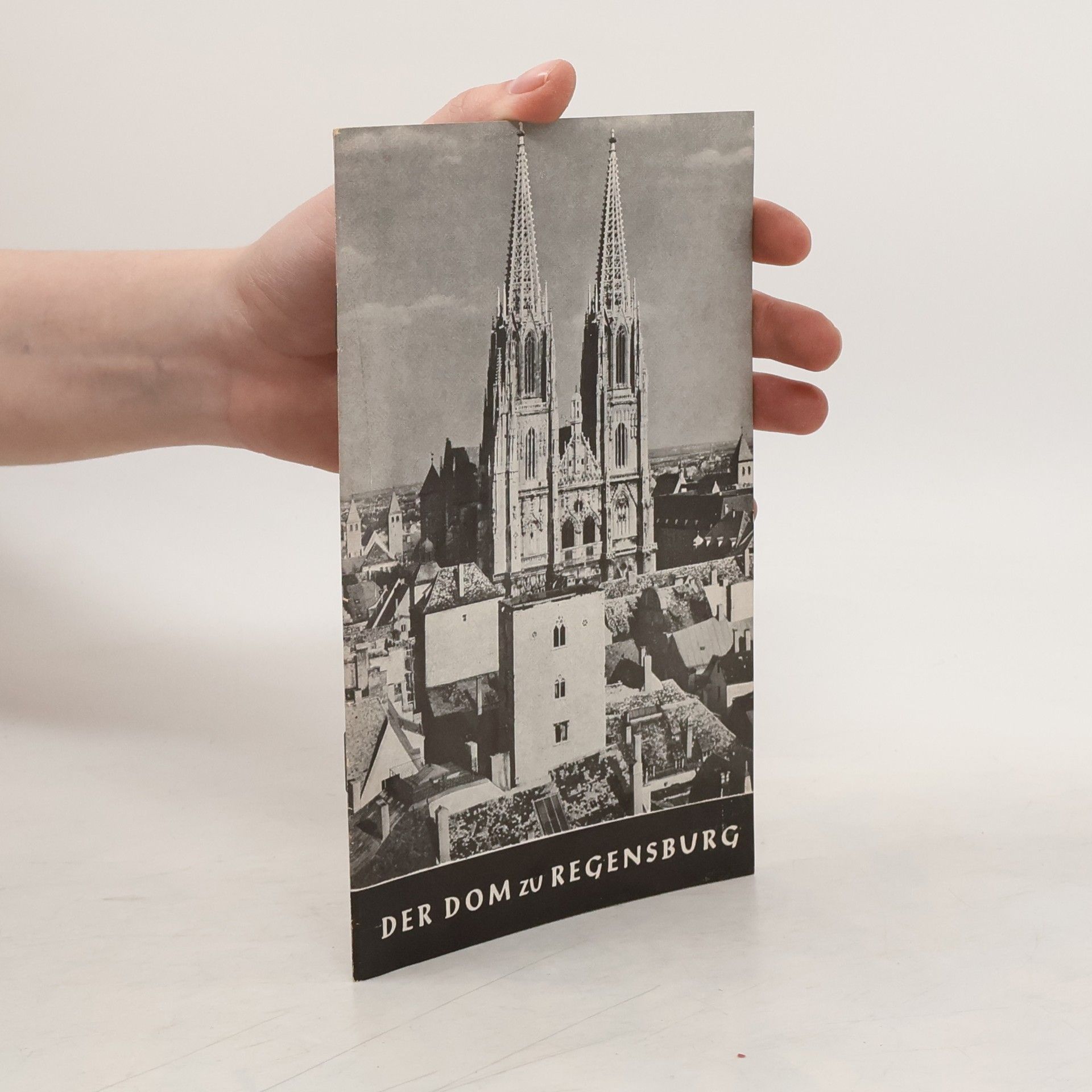 Auteurscollectief Der Dom zu Regensburg