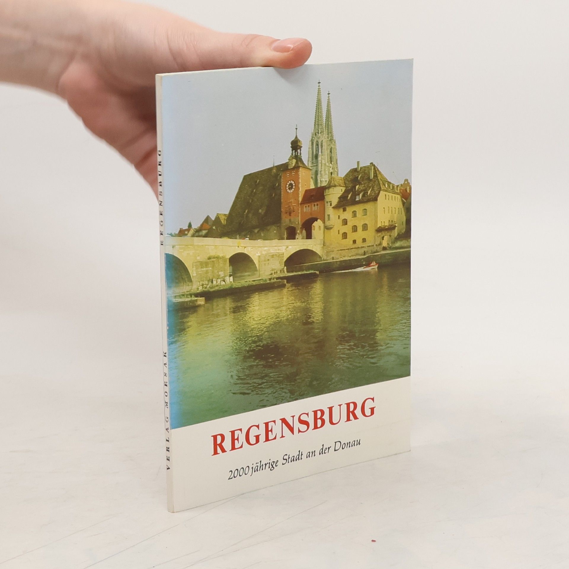 Regensburg. 2000 jährige Stadt and der Donau