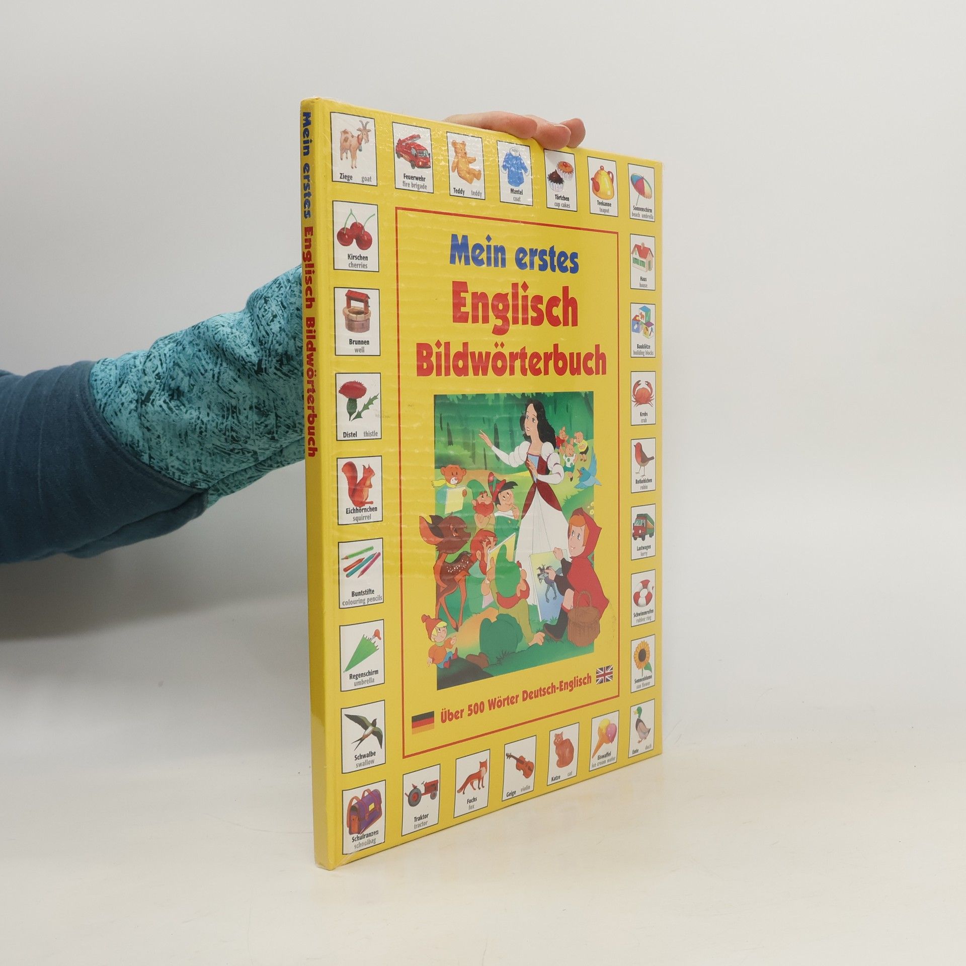 Autorenkollektiv Mein erstes Englisch Bildwörterbuch