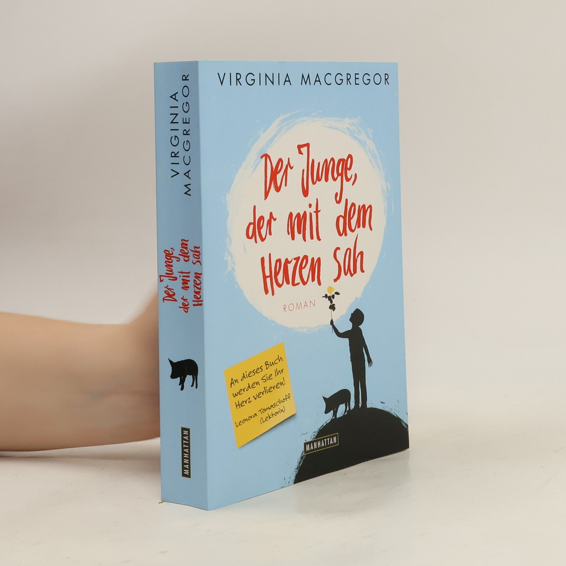 Virginia Macgregor Der Junge, der mit dem Herzen sah