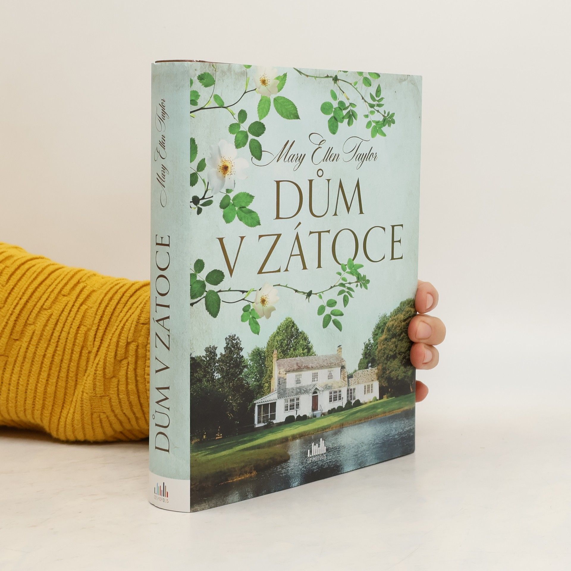 Mary Ellen Taylor Dům v zátoce