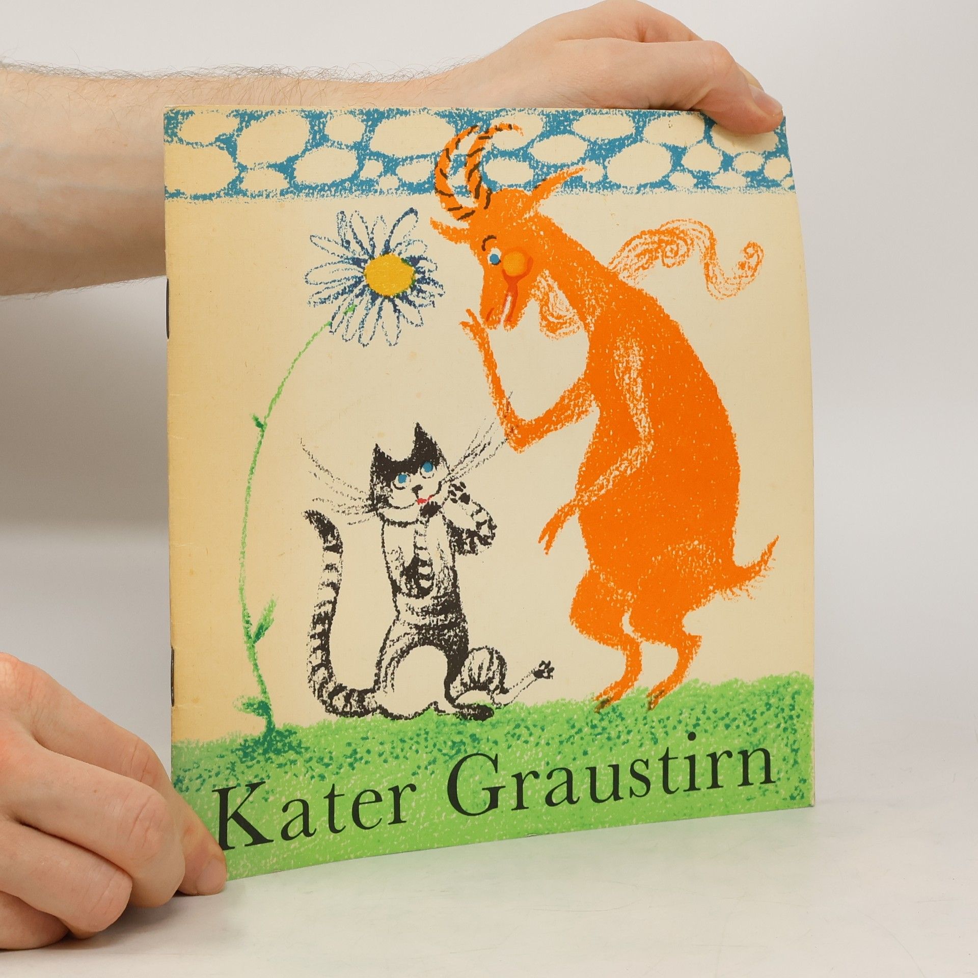 Autorenkollektiv Kater Graustirn