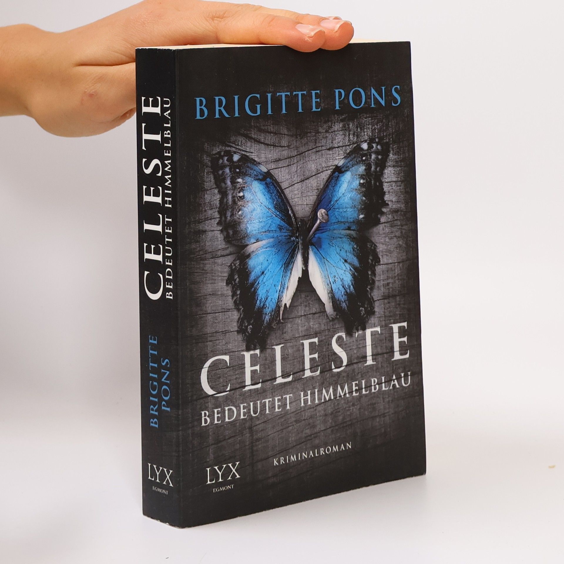 Brigitte Pons Celeste bedeutet Himmelblau