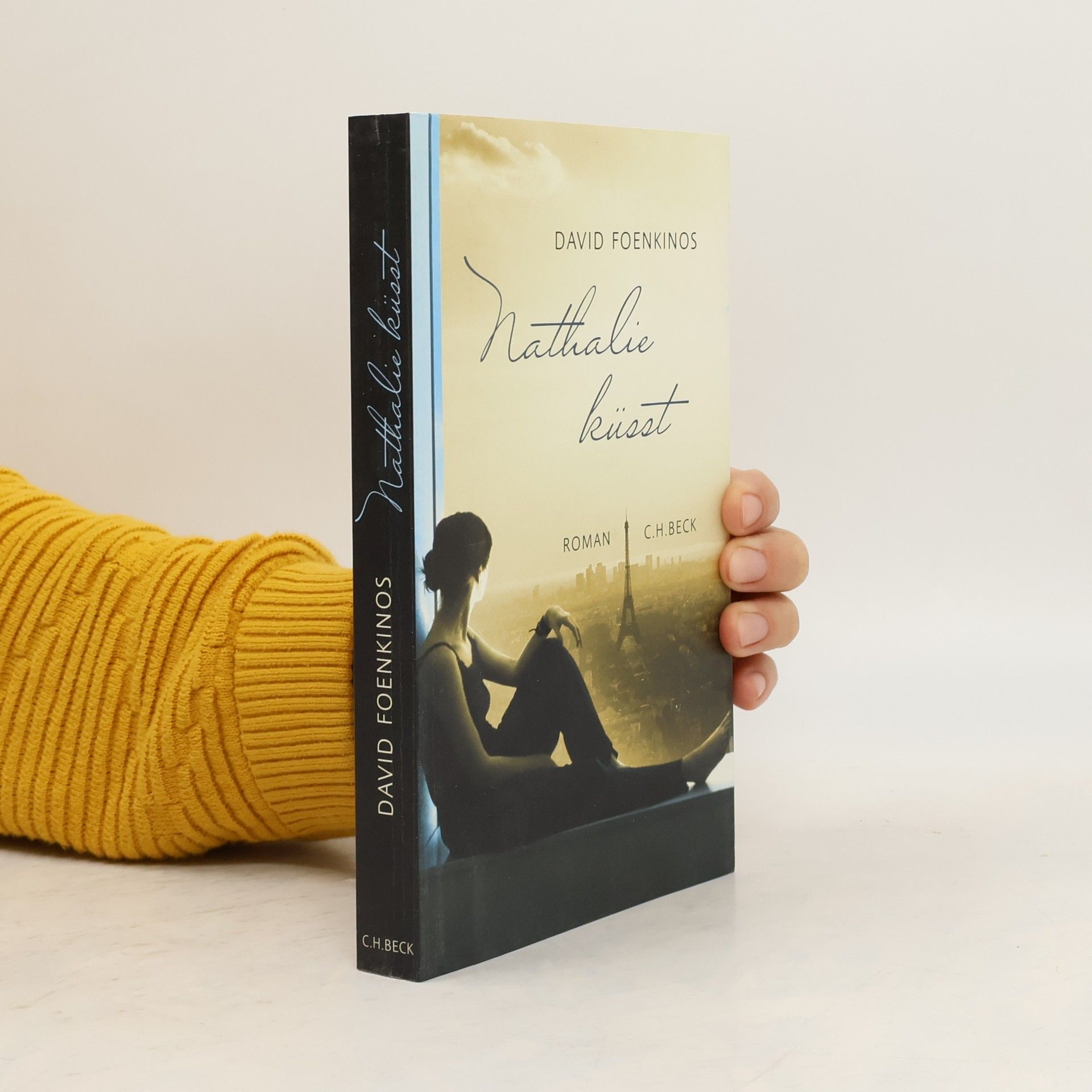 David Foenkinos Nathalie küsst