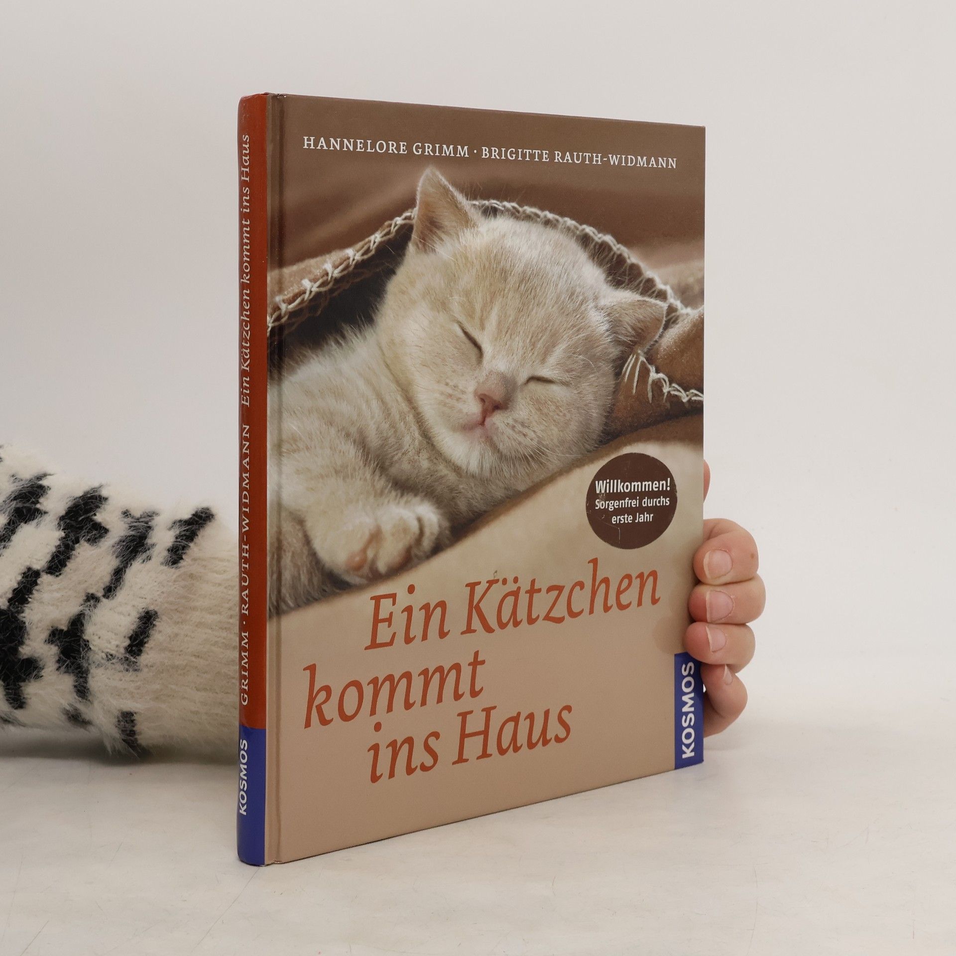 Ein Kätzchen kommt ins Haus