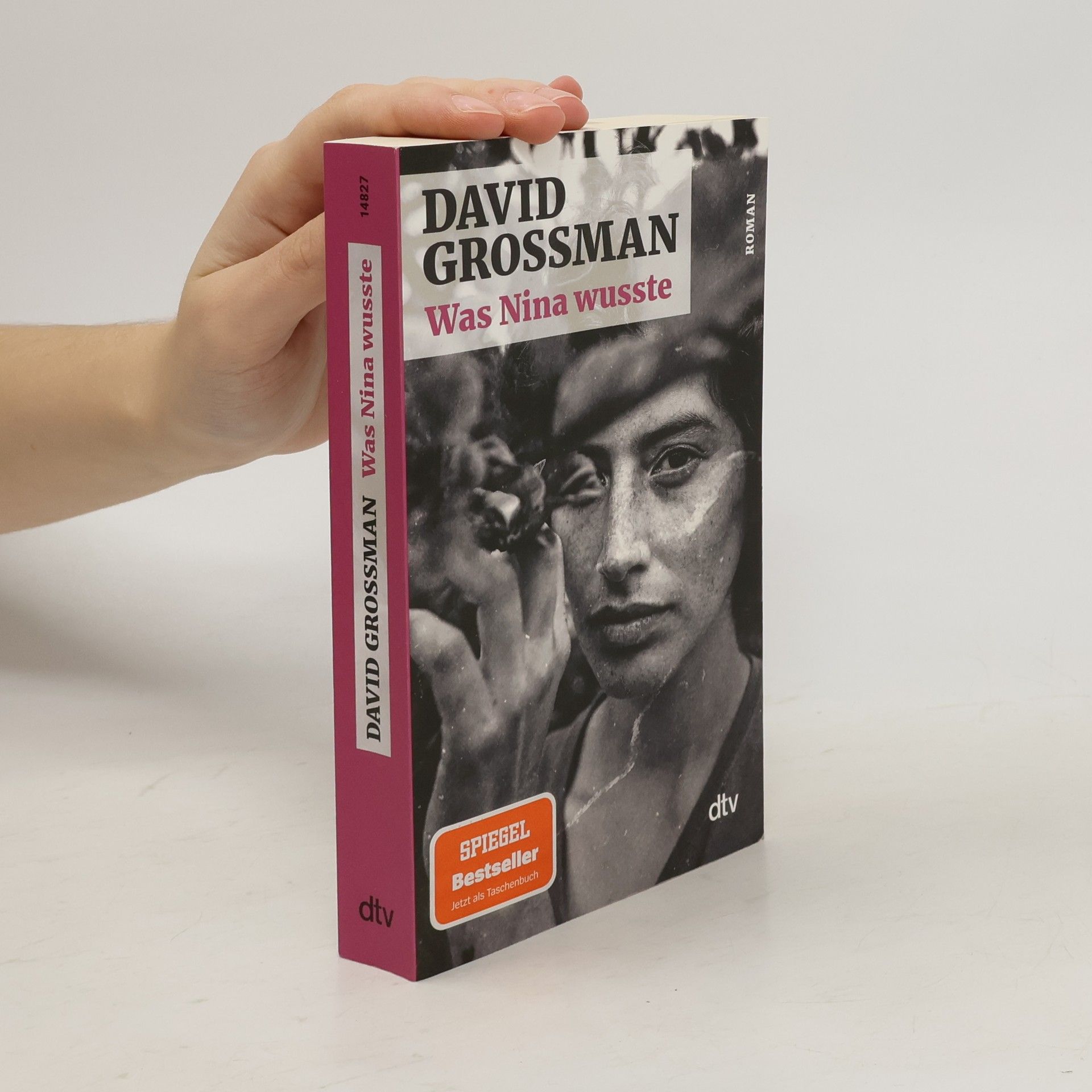 David Grossman Was Nina wusste