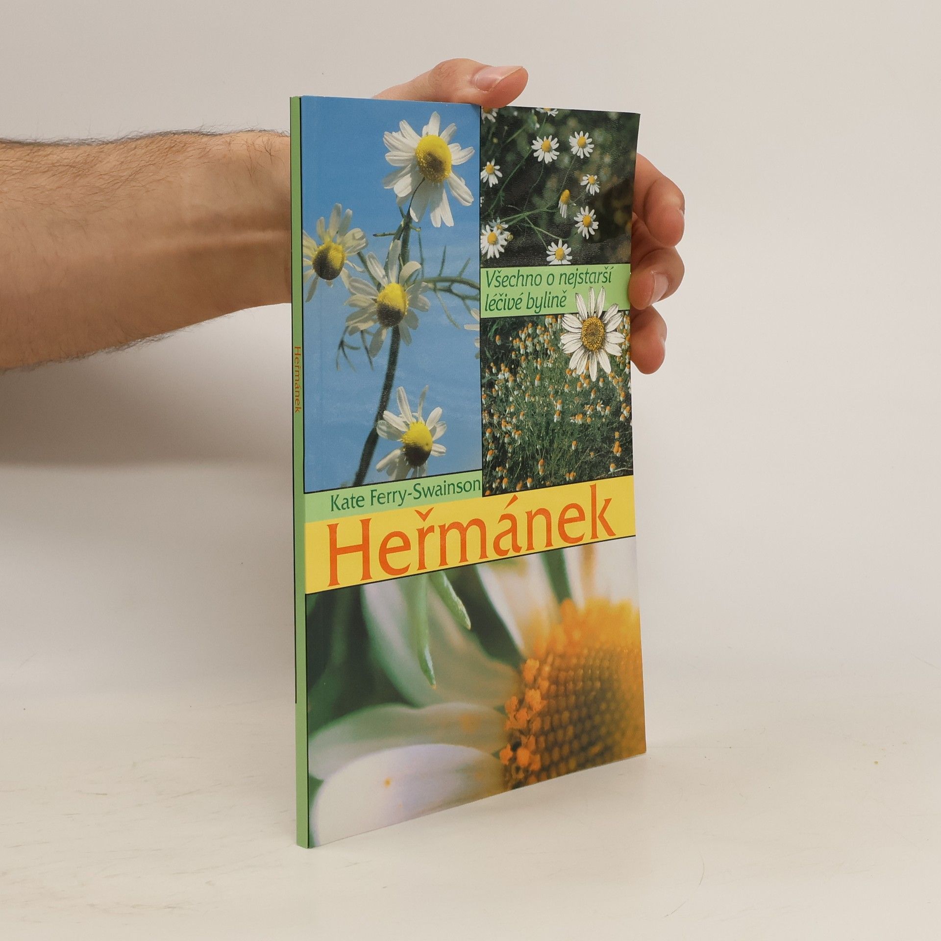 Heřmánek, Všechno o nejstarší léčivé bylině