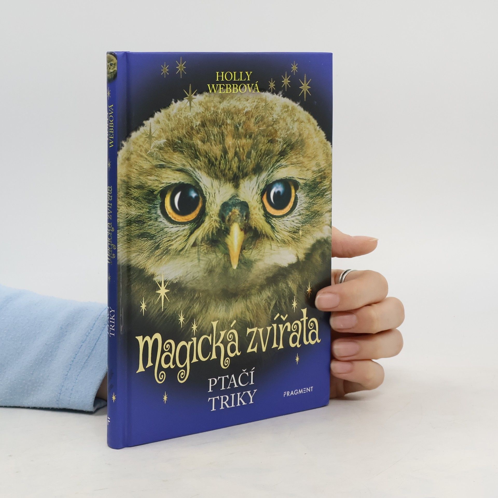 Holly Webb Ptačí triky