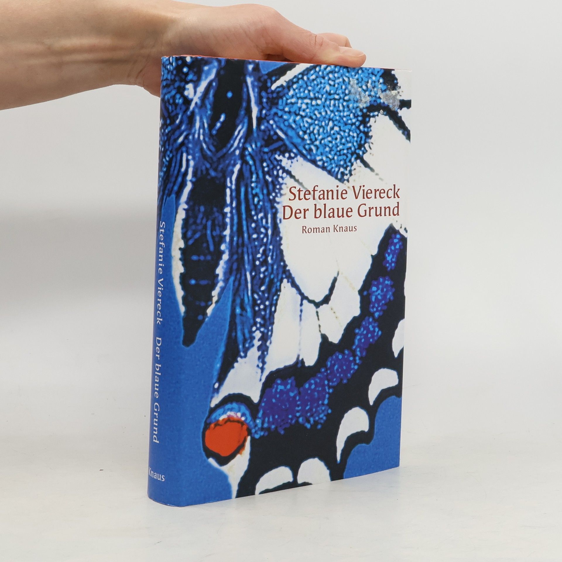 Stefanie Viereck Der blaue Grund