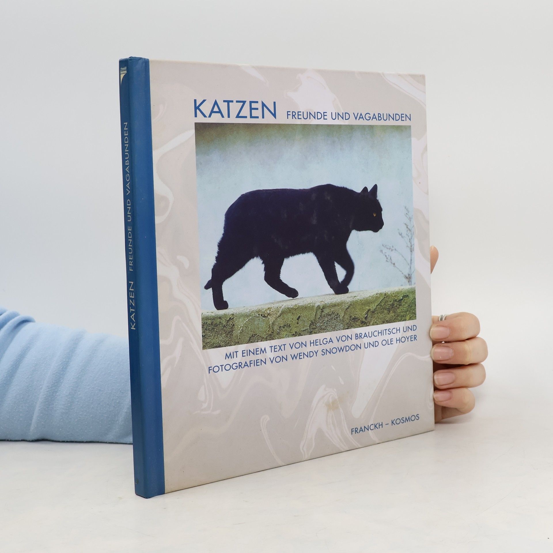 Autorenkollektiv Katzen