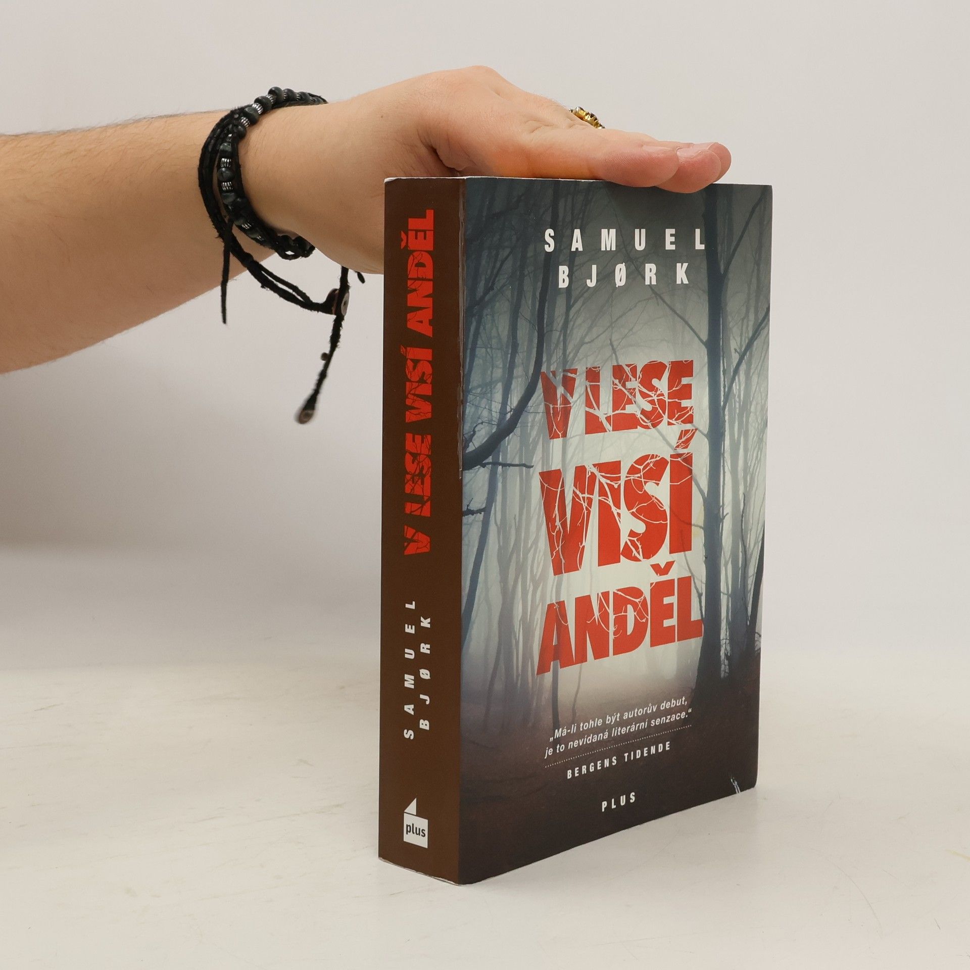 Samuel Bjork V lese visí anděl