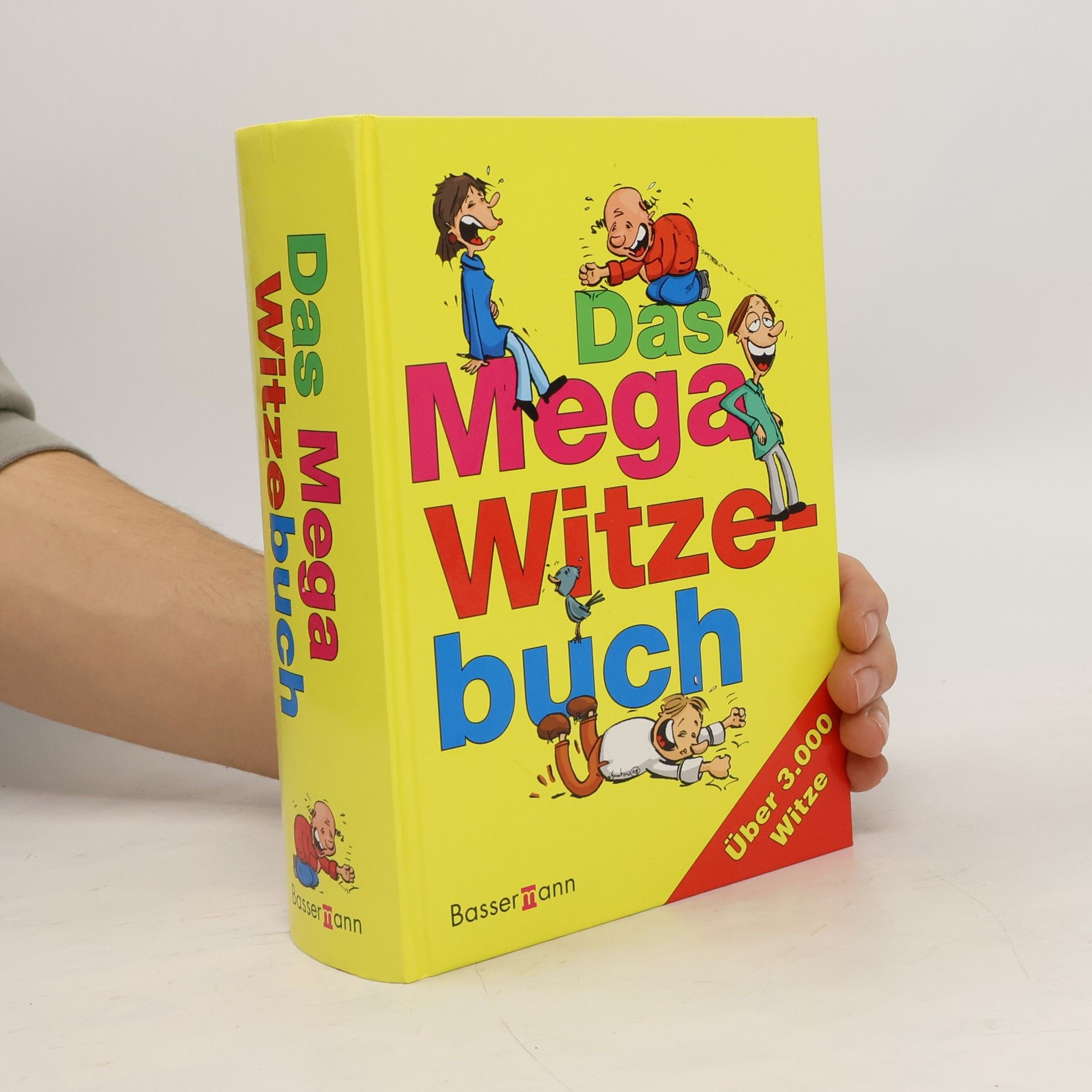 Das Mega Witzebuch