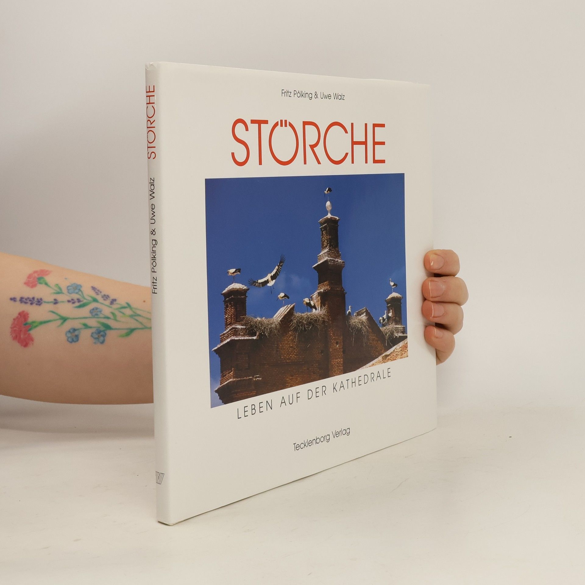 Fritz Pölking Störche