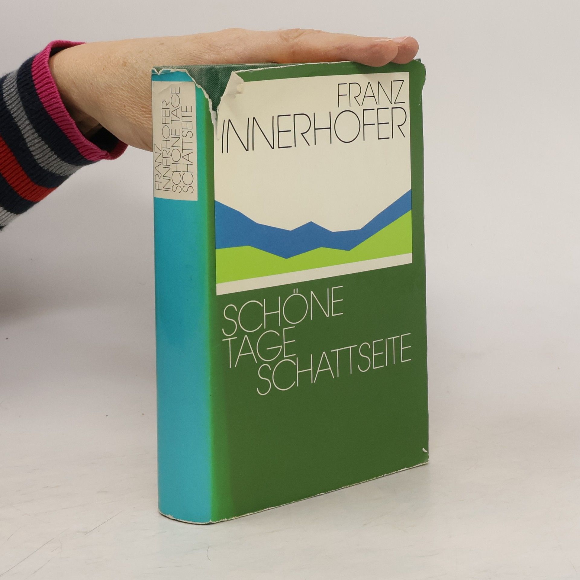 Franz Innerhofer Schöne Tage. Schattseite