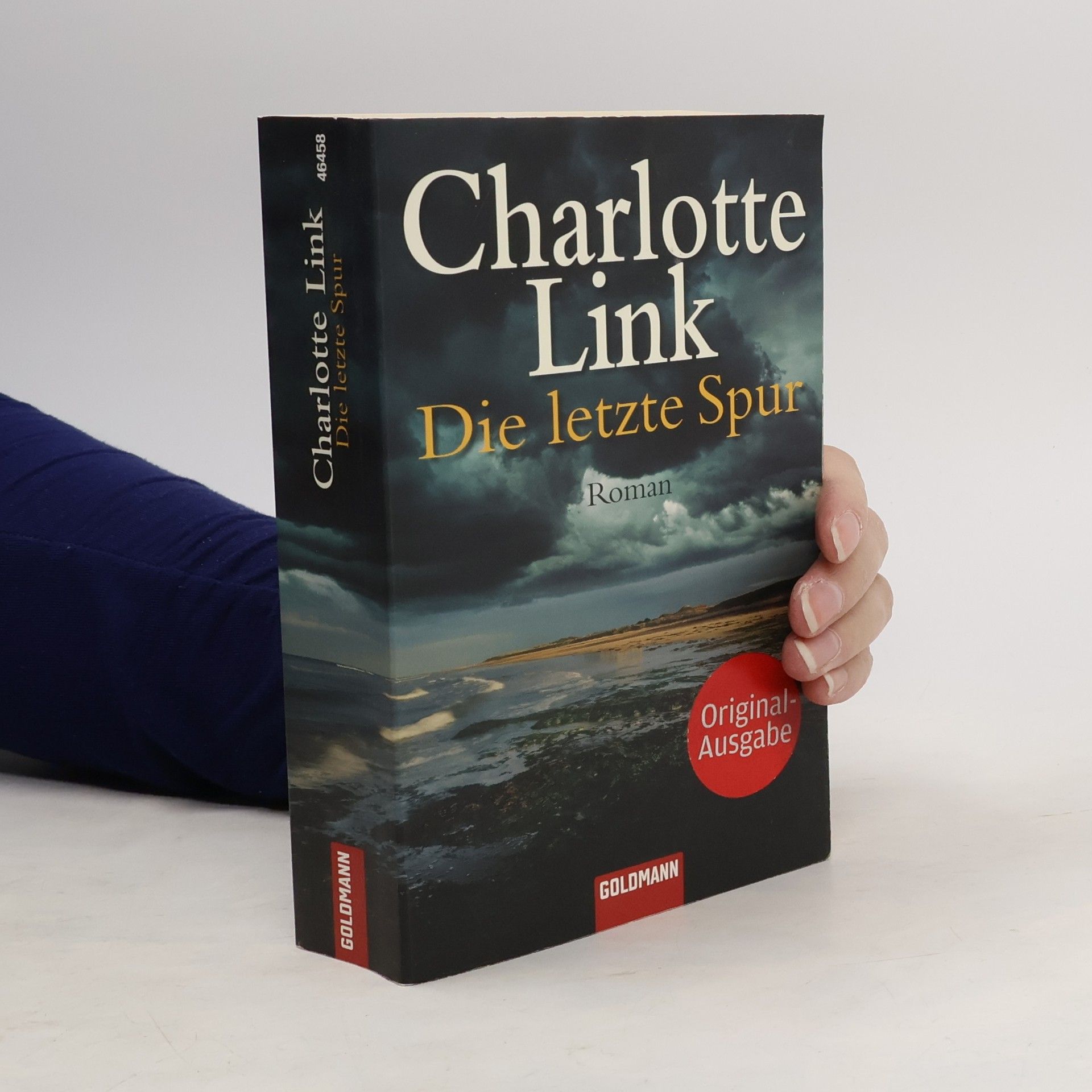 Charlotte Link Die letzte Spur