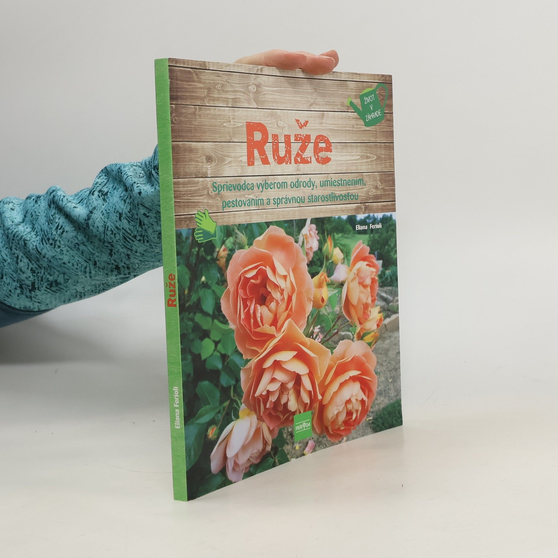 Eliana Ferioli Ruže