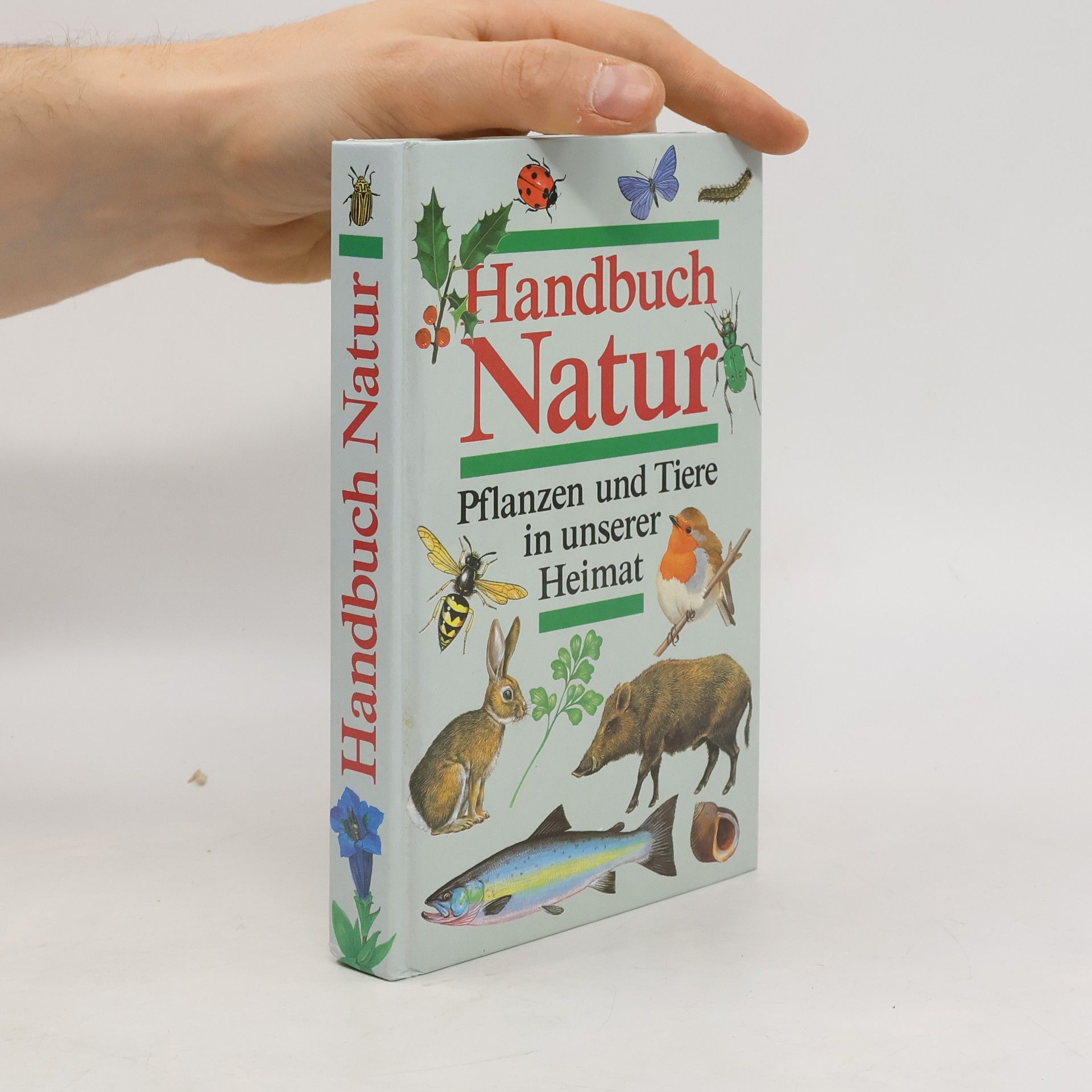 Marcus Würmli Handbuch Natur