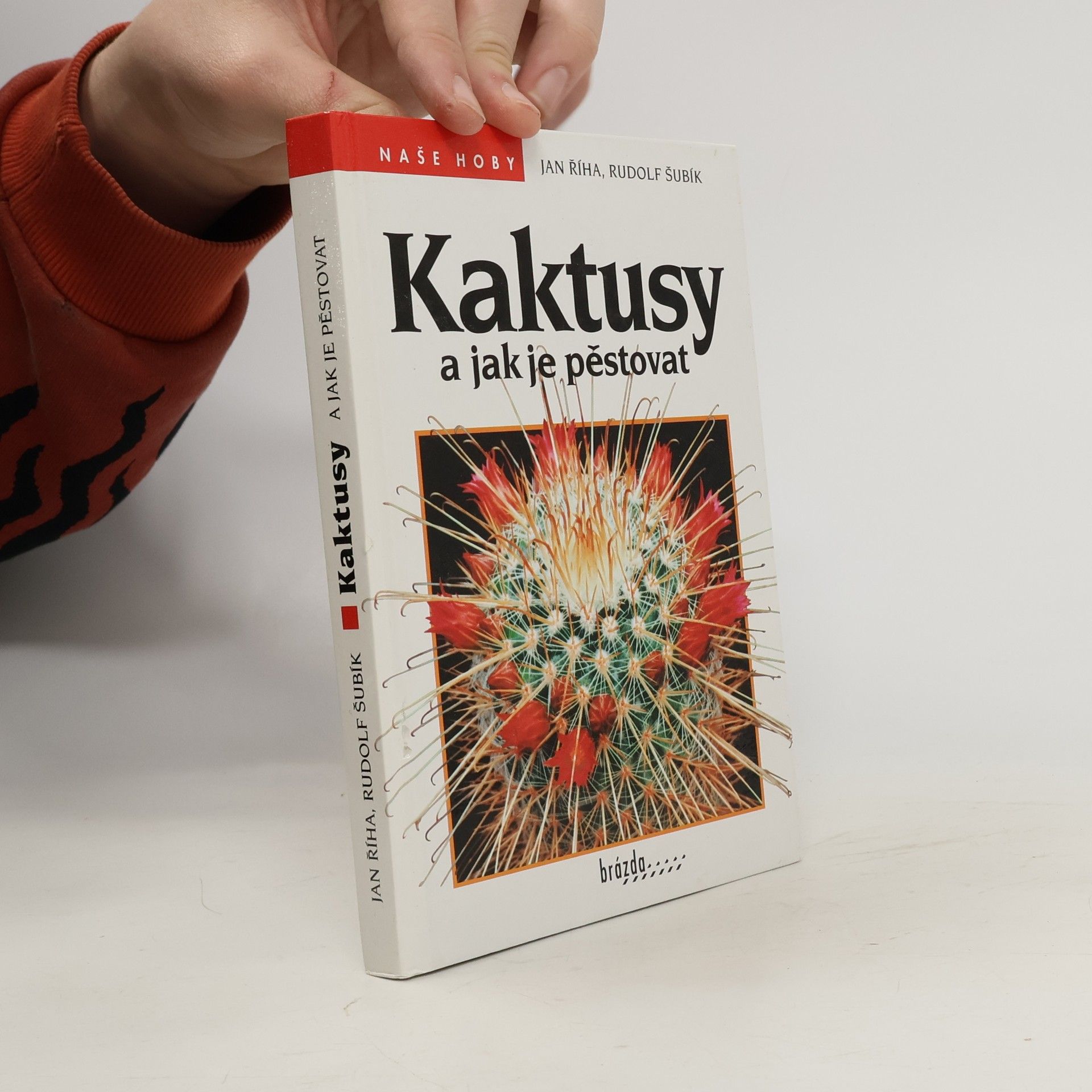 Kaktusy a jak je pěstovat