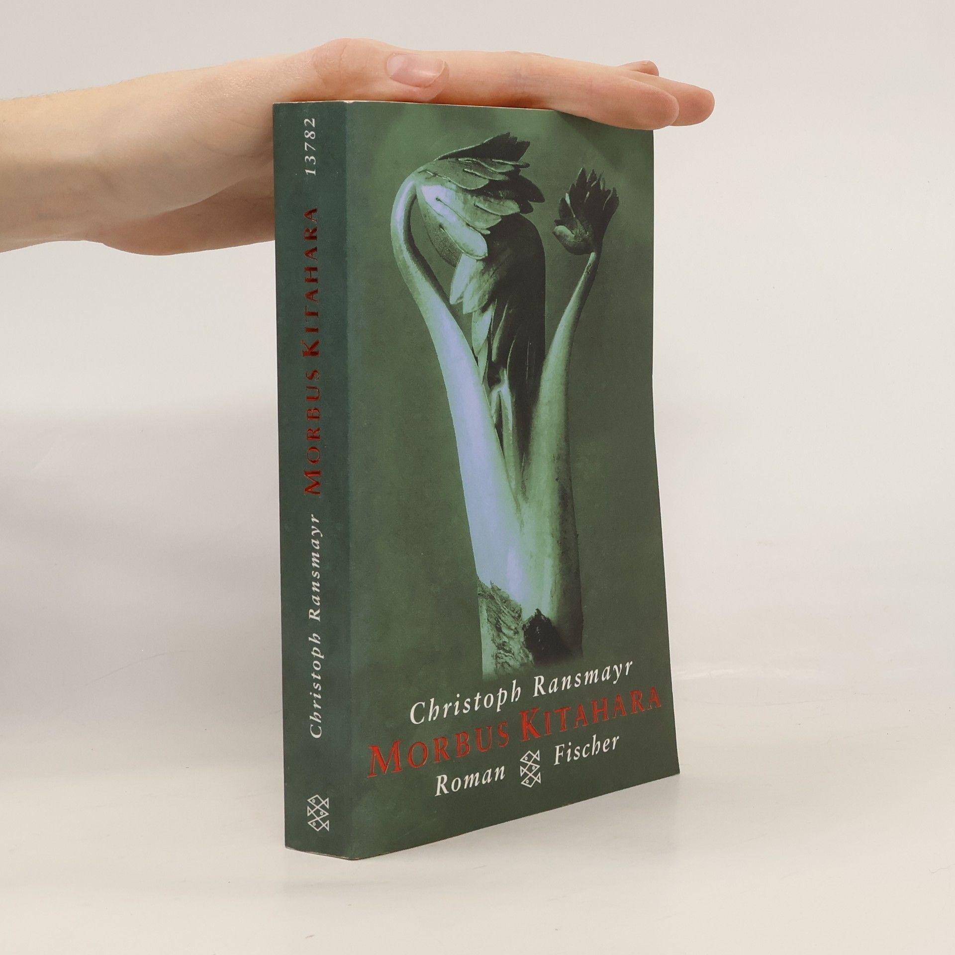 Christoph Ransmayr Morbus Kitahara