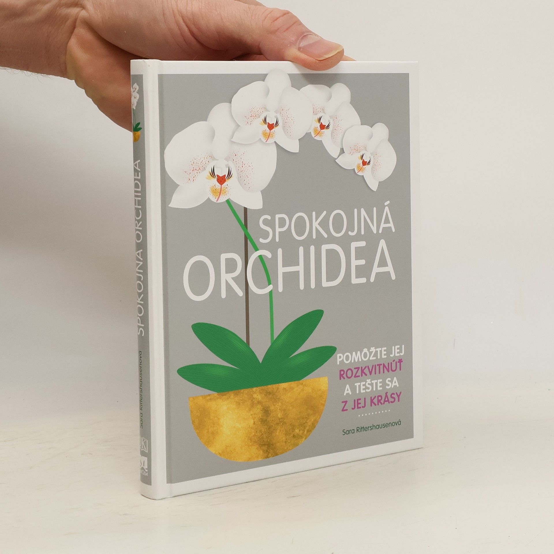 Spokojná orchidea