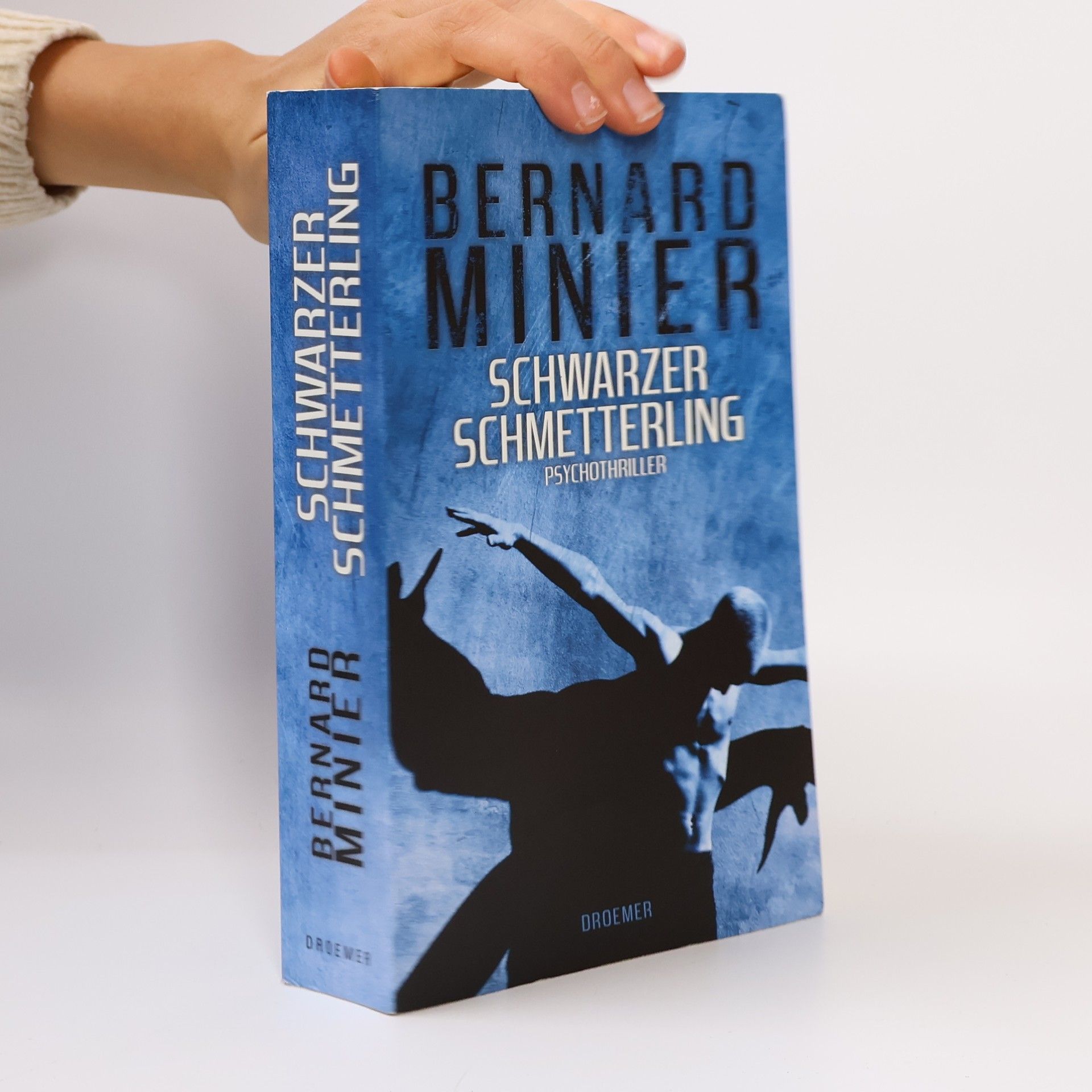 Bernard Minier Schwarzer Schmetterling