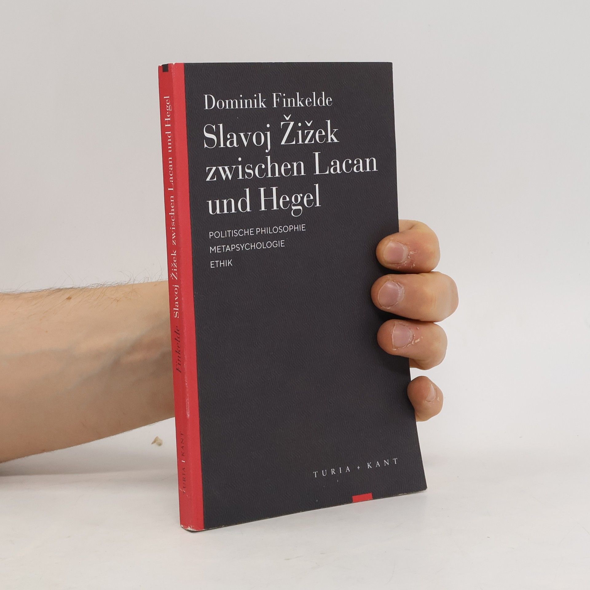 Slavoj Žižek zwischen Lacan und Hegel