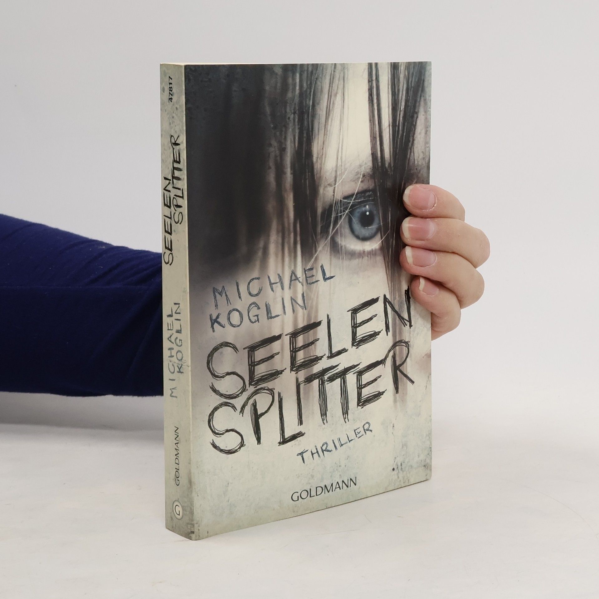 Michael Koglin Seelensplitter