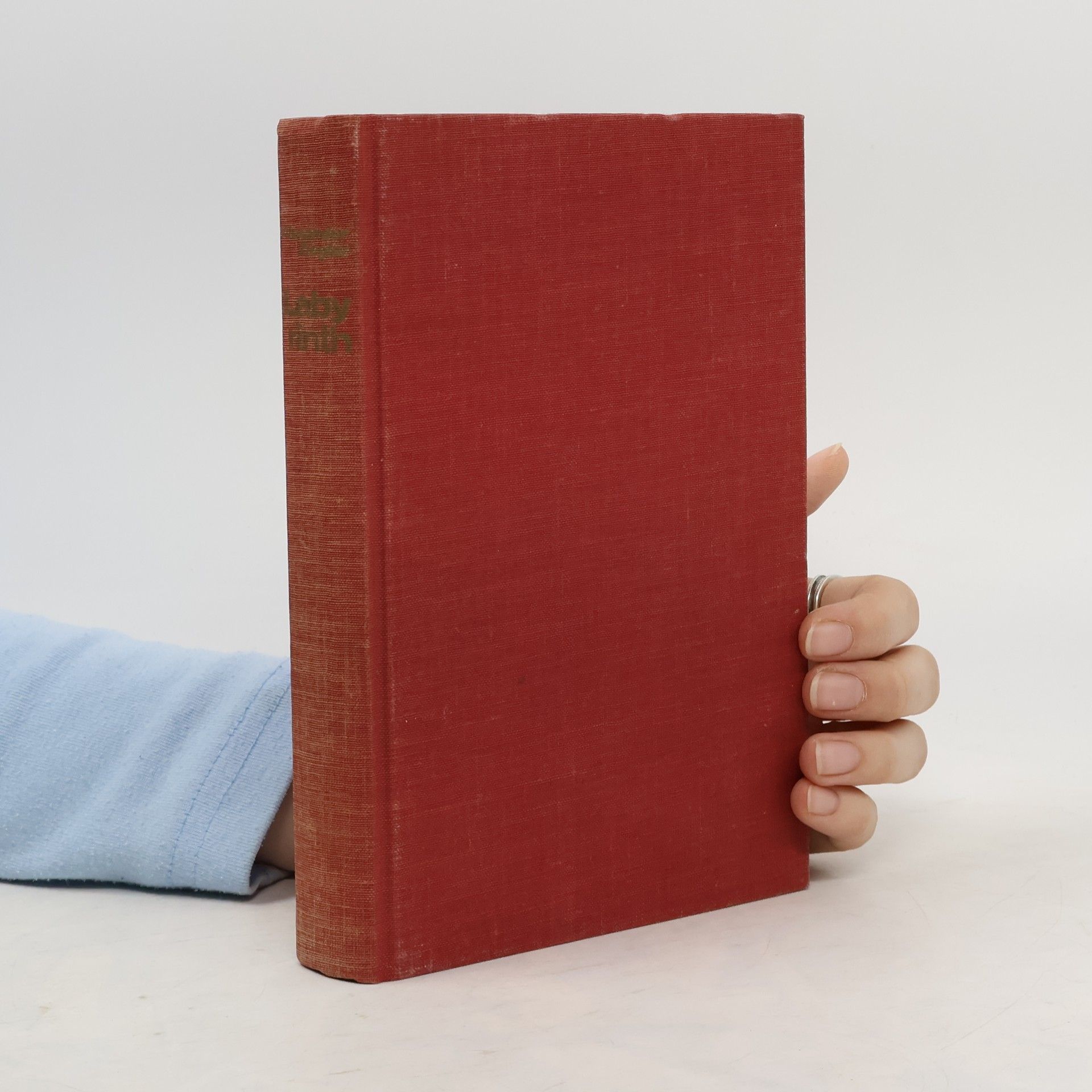 Alexander Ziegler Labyrinth