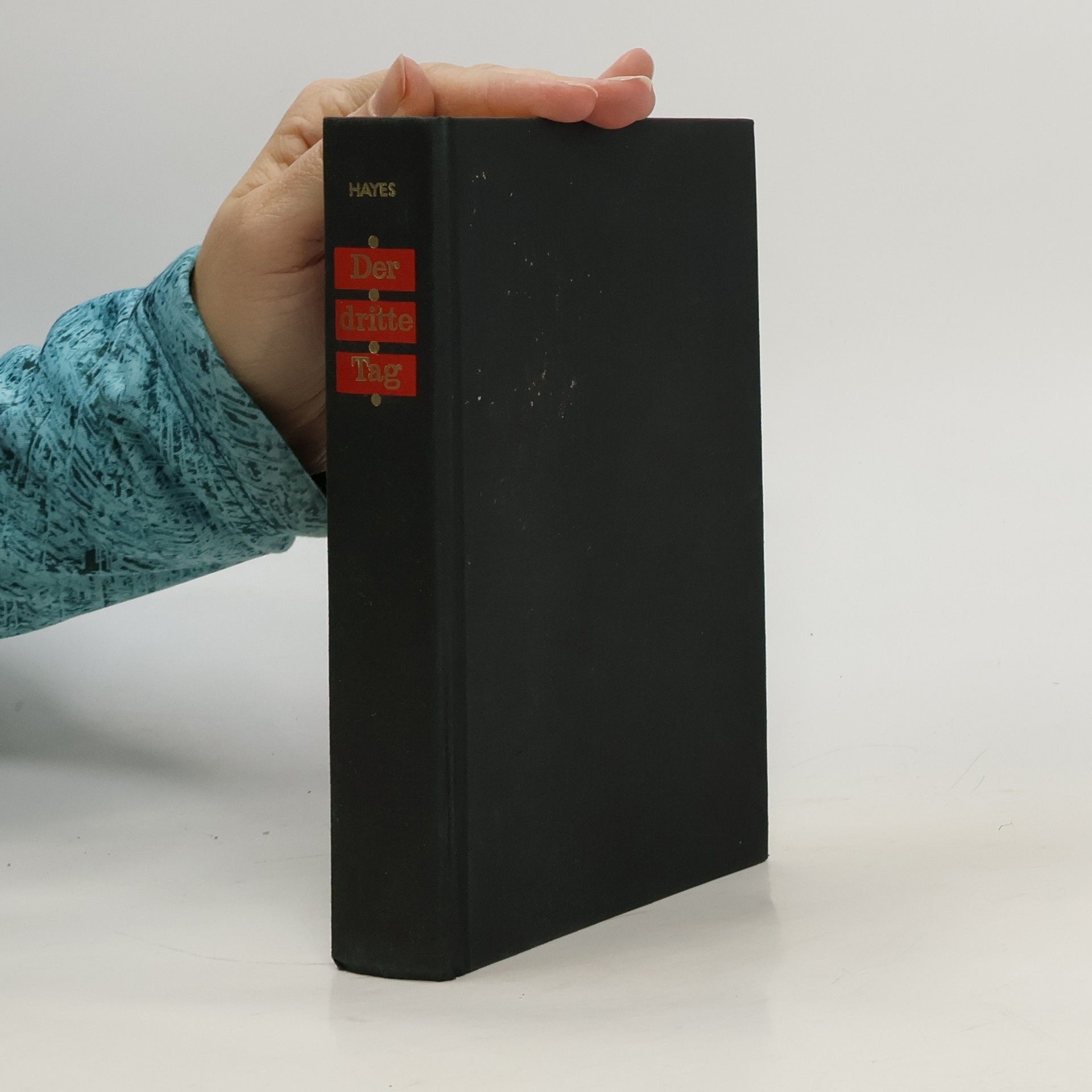 Joseph Hayes Der dritte Tag