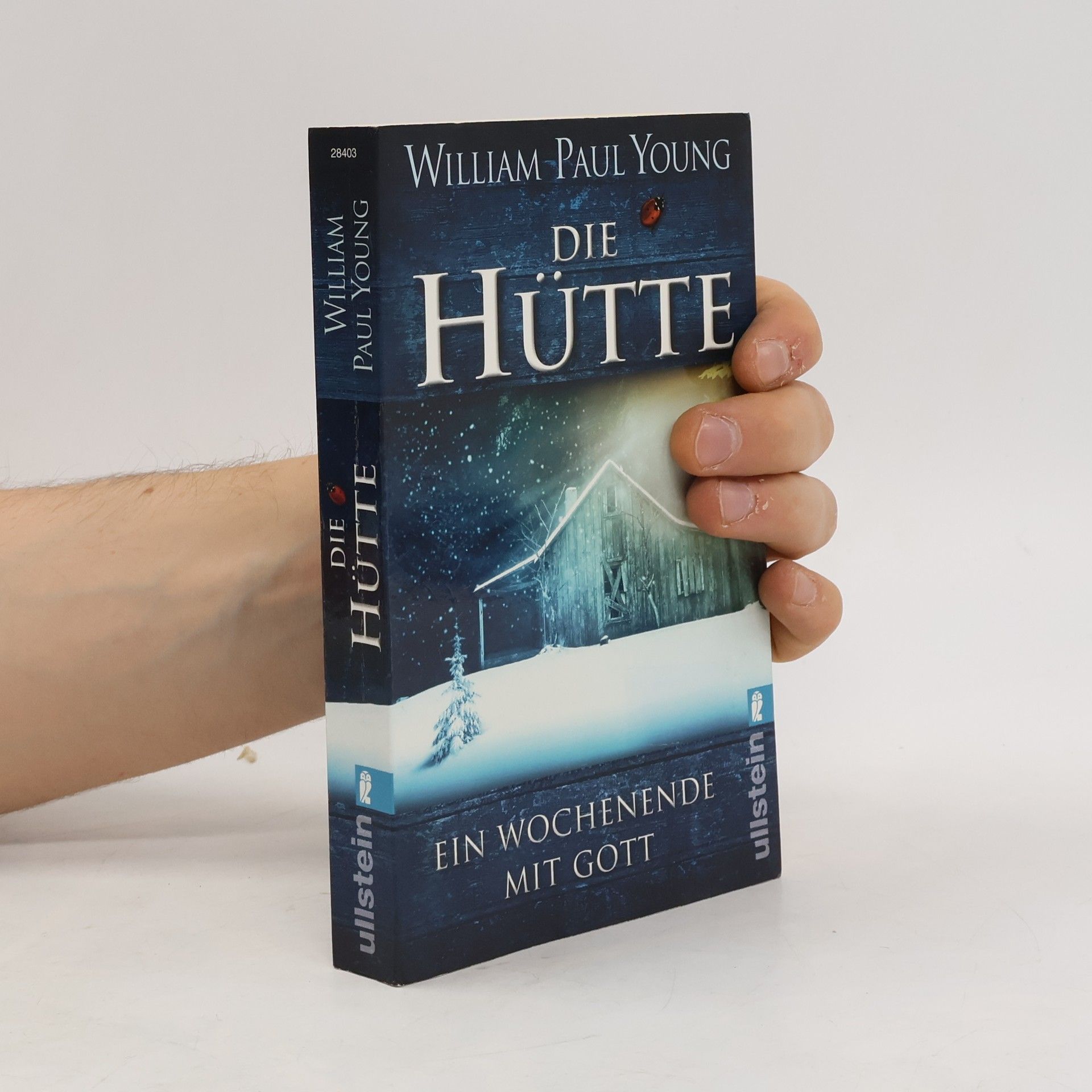 William P. Young Die Hütte