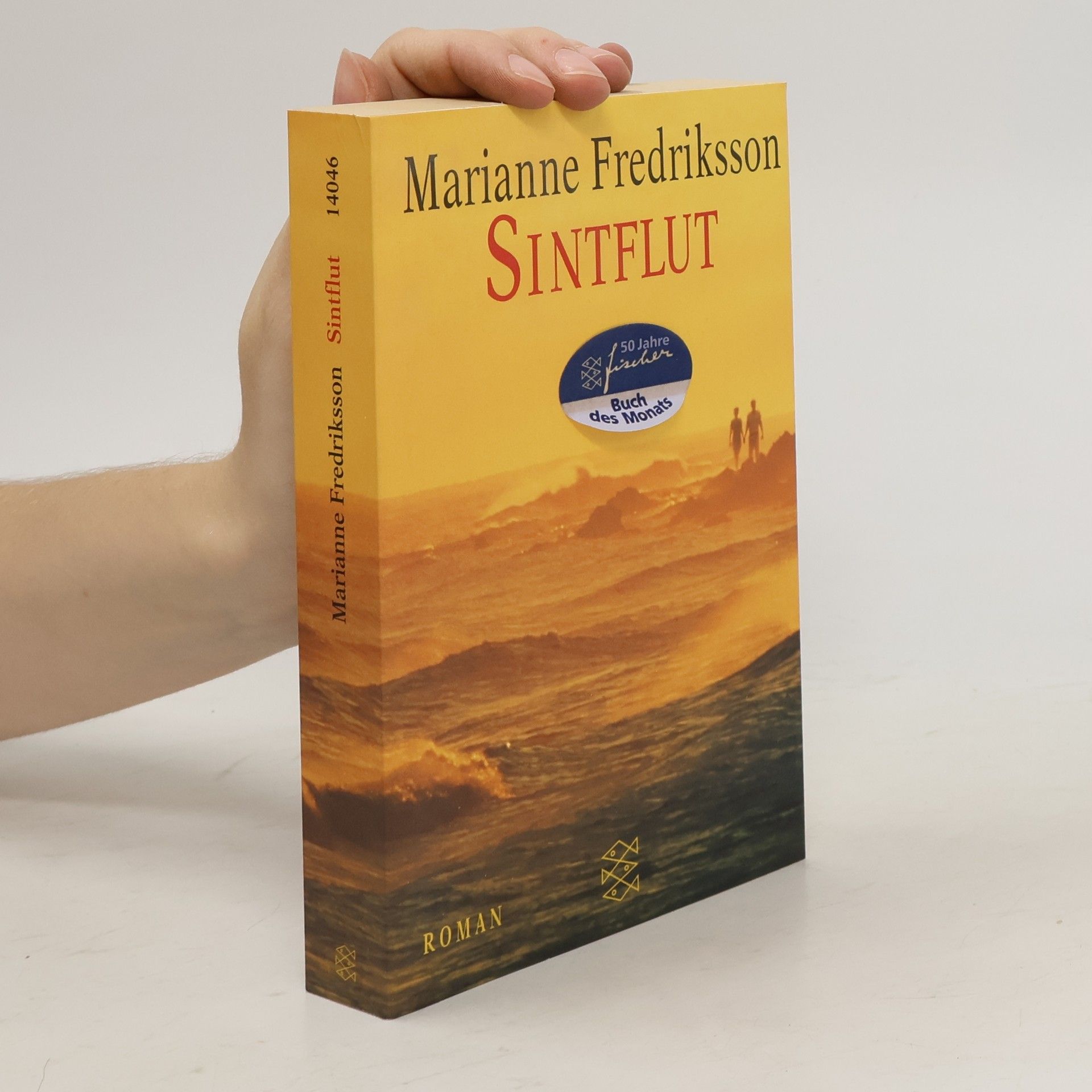 Marianne Fredriksson Sintflut