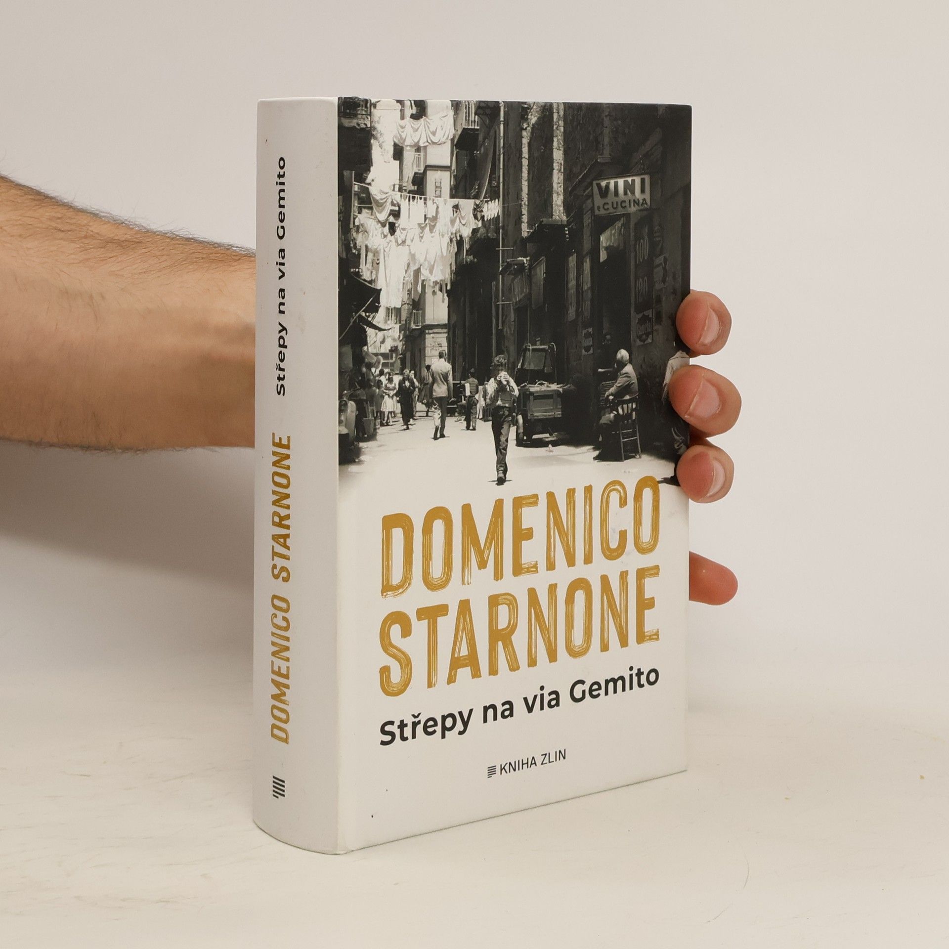 Domenico Starnone Střepy na via Gemito