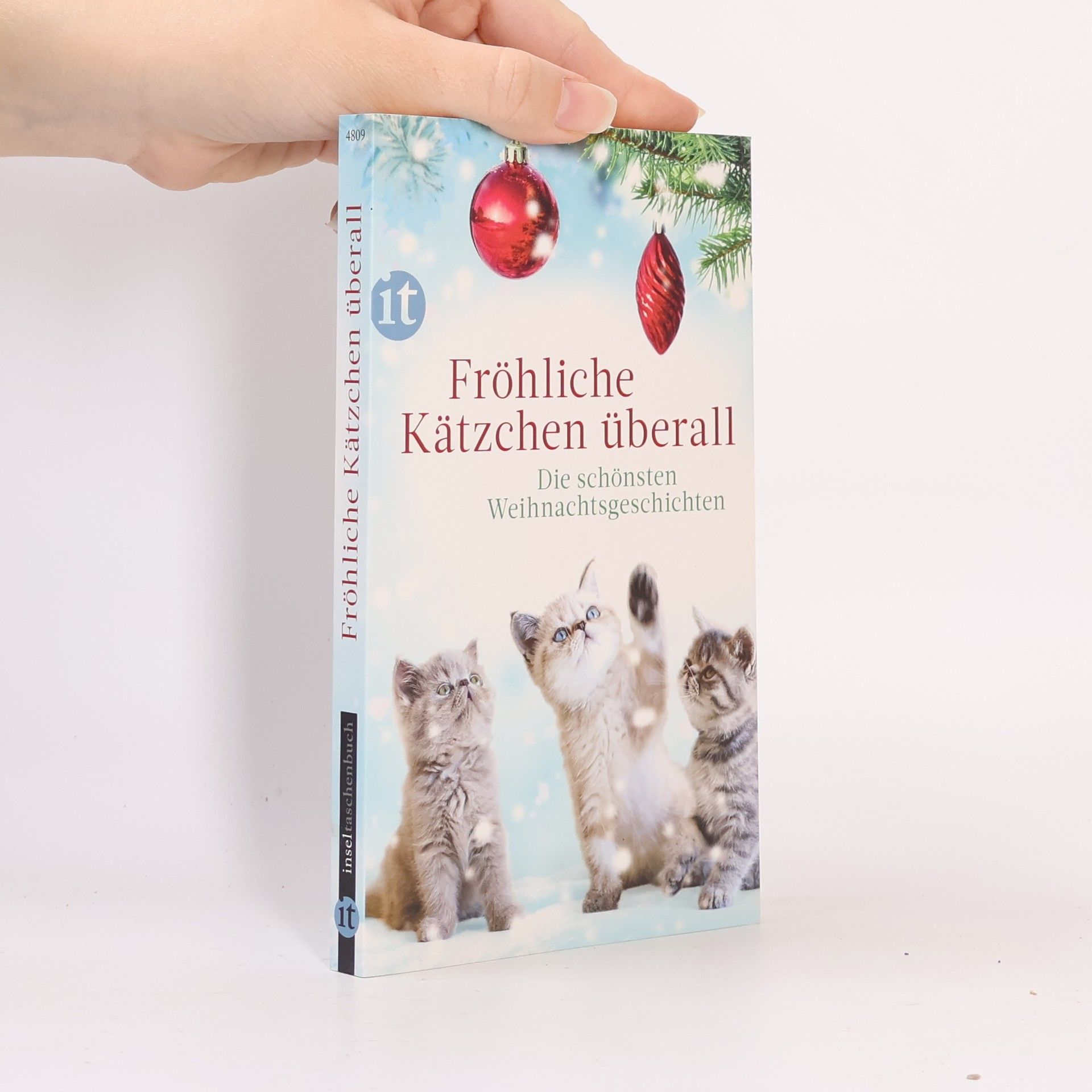 Gesine Dammel Fröhliche Kätzchen überall