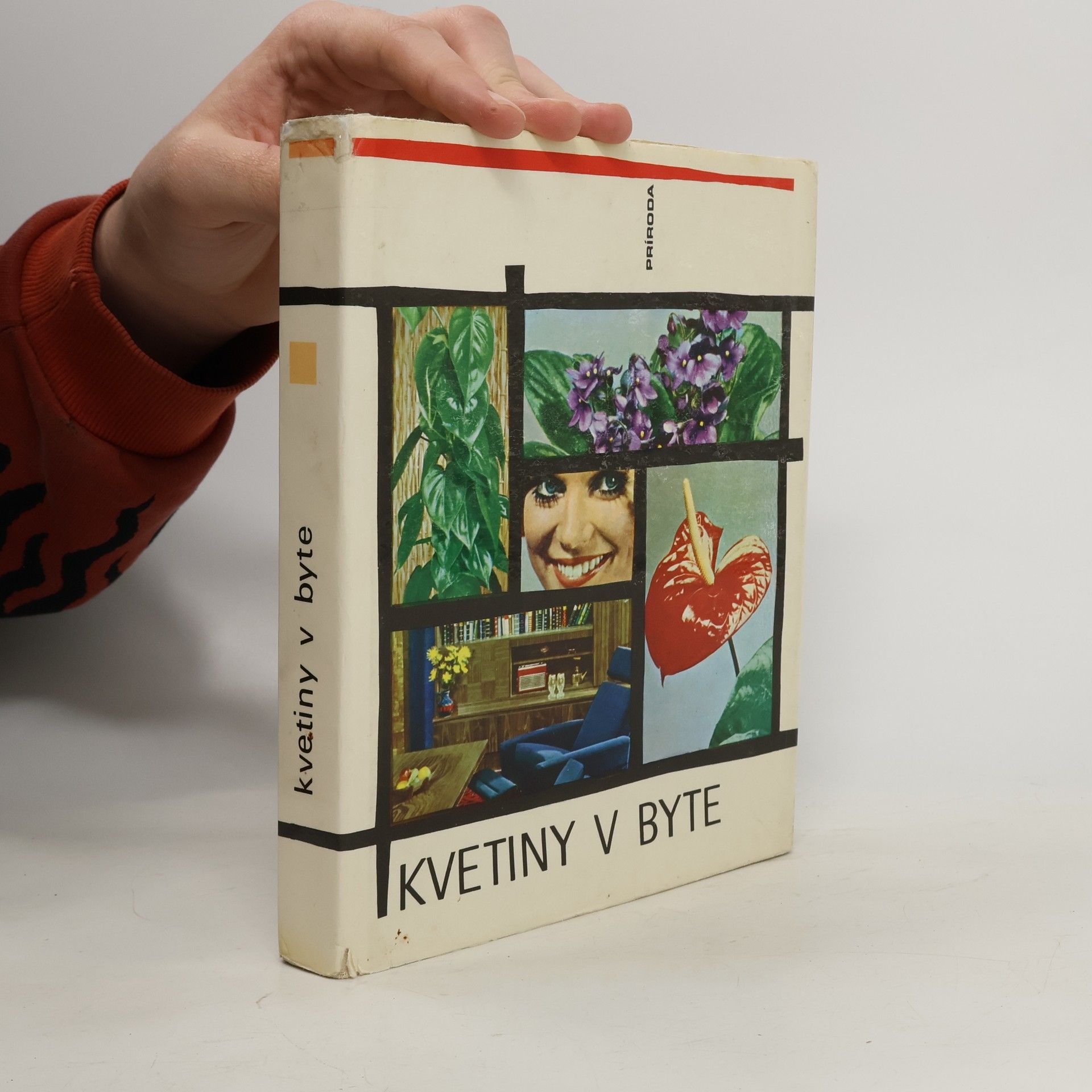 Kvetiny v byte