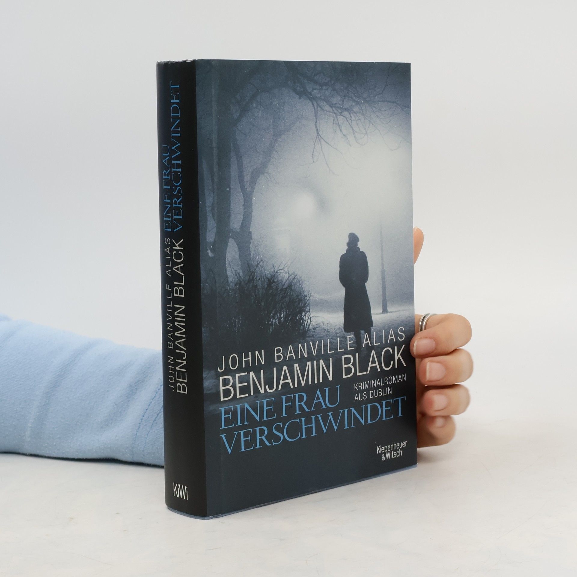 John Banville Eine Frau verschwindet