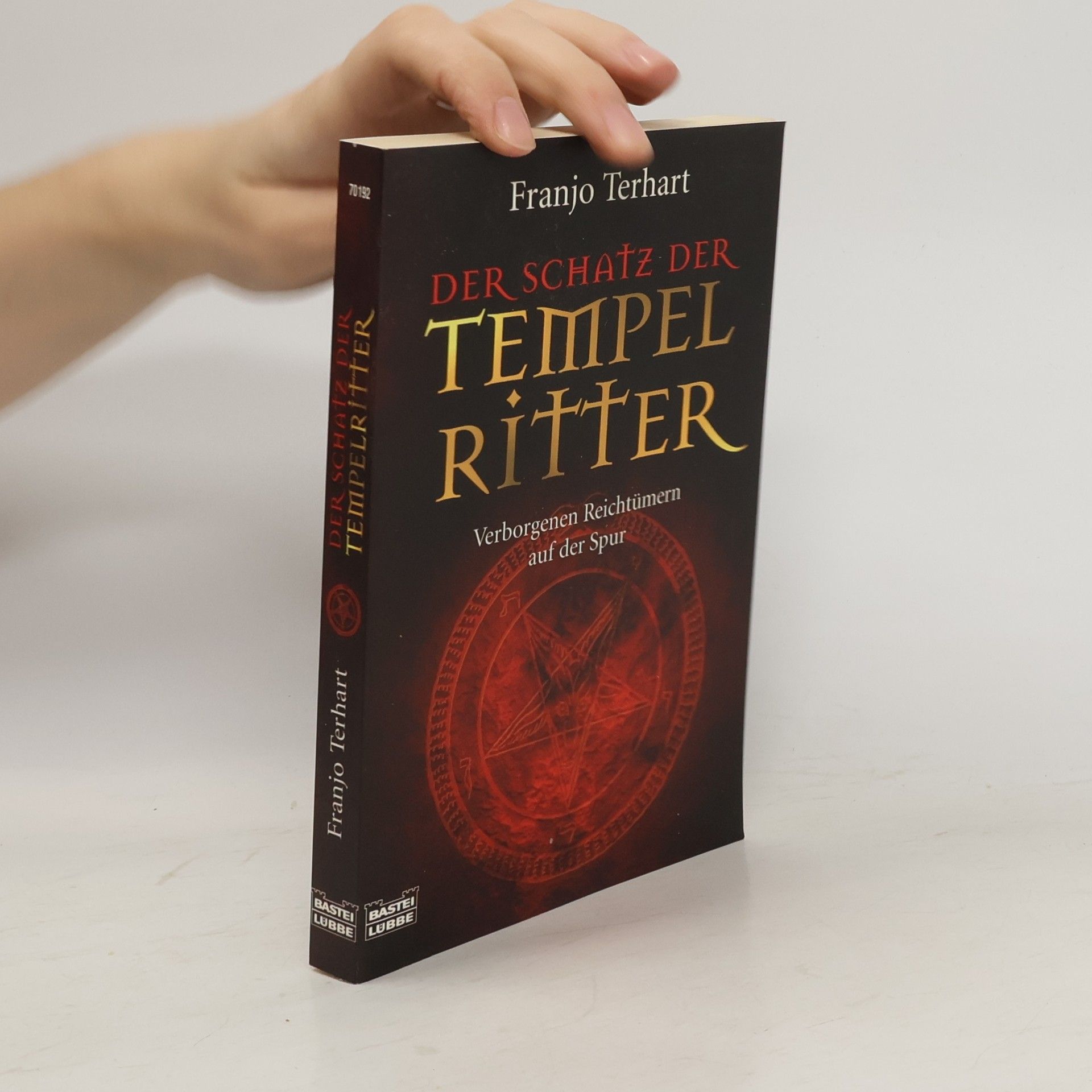 Franjo Terhart Der Schatz der Tempelritter