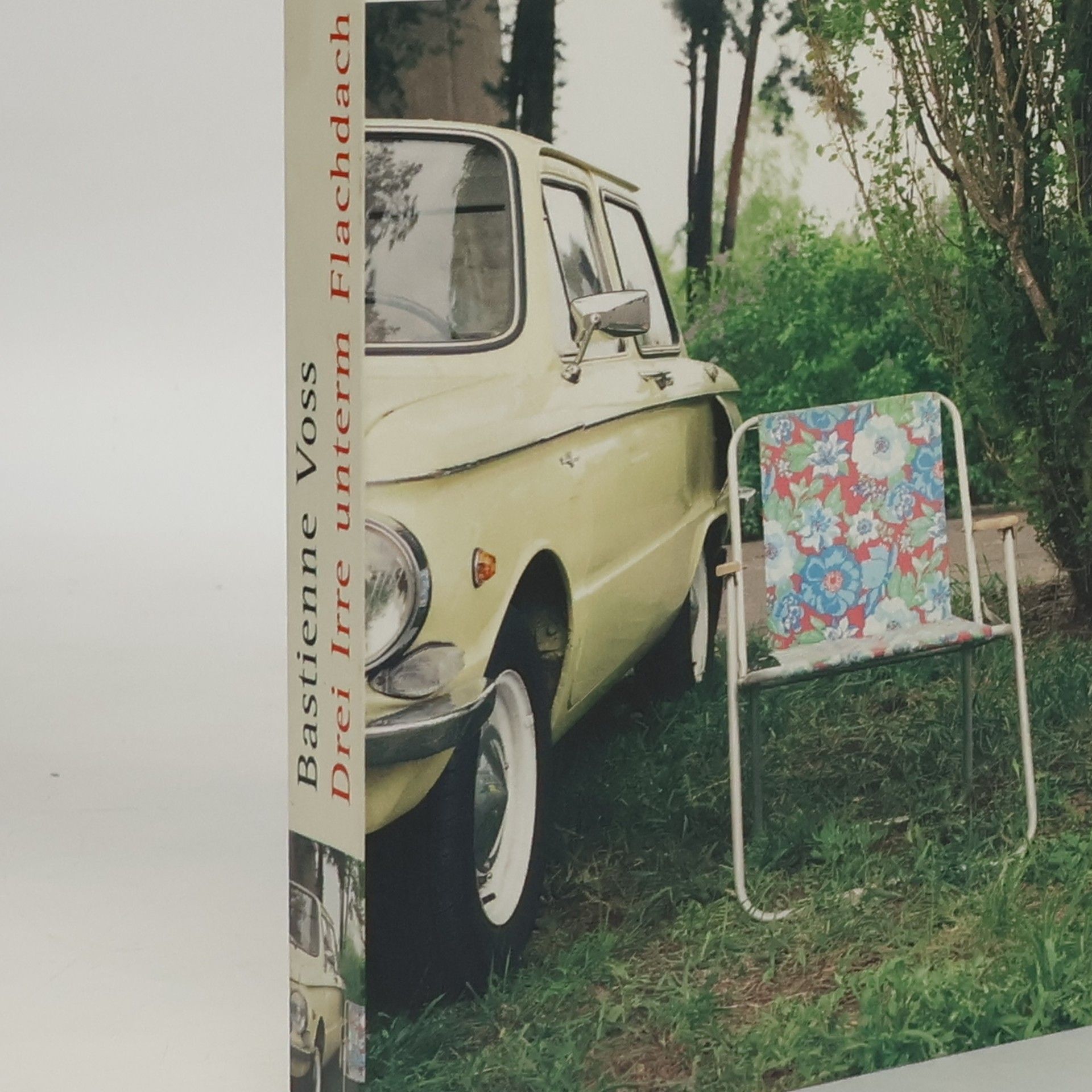 Bastienne Voss Drei Irre unterm Flachdach