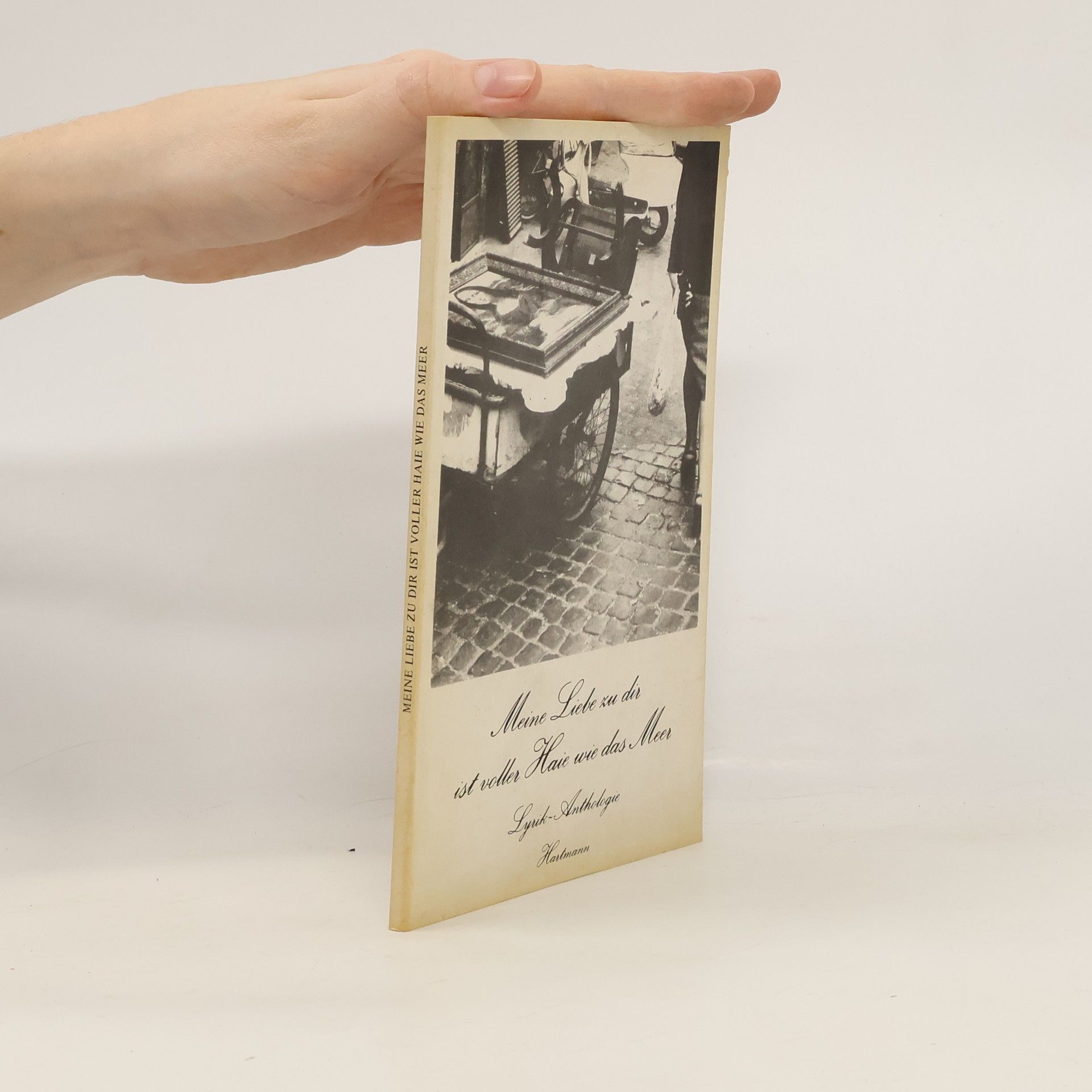 Meine Liebe zu dir ist voller Haie wie das Meer