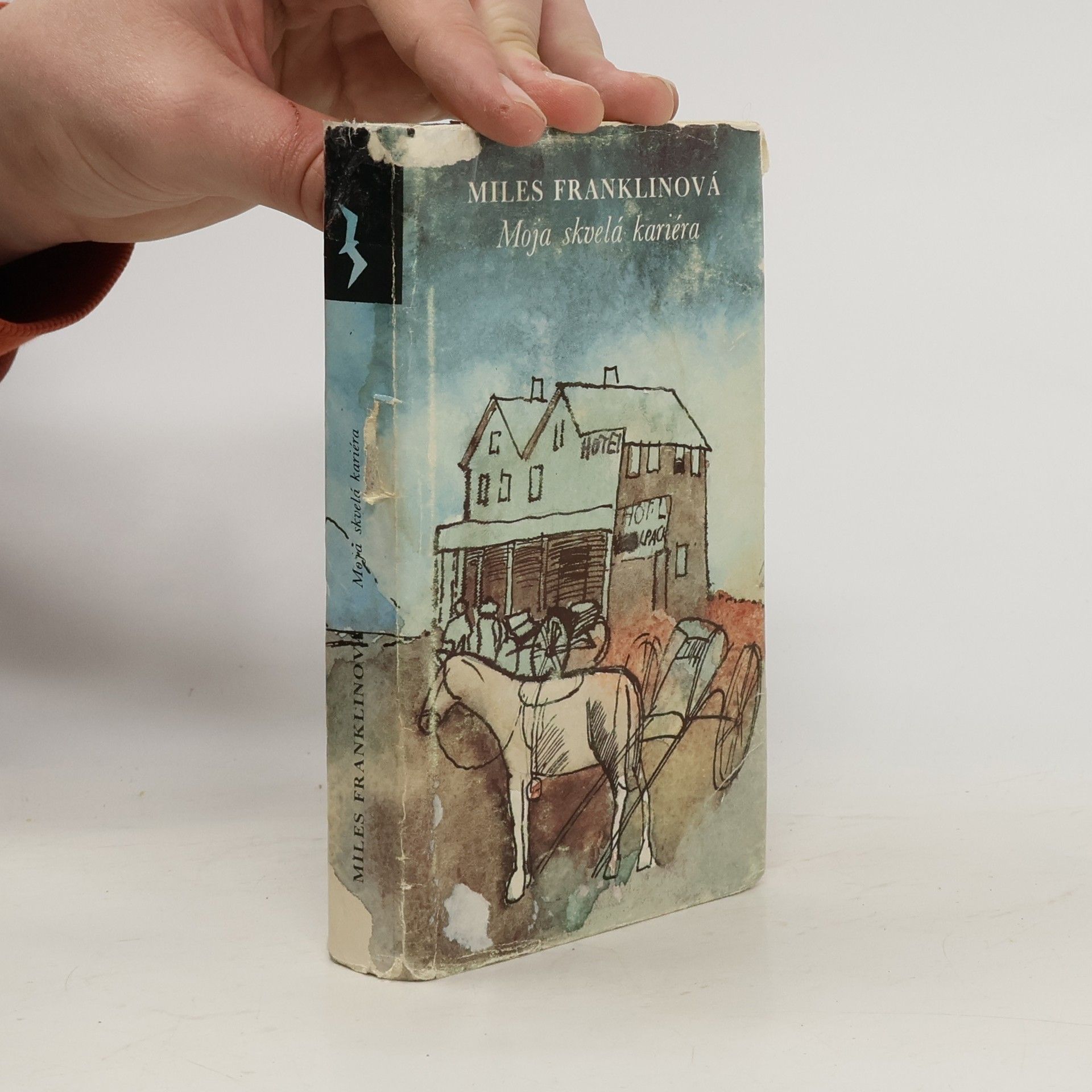 Moja skvelá kariéra