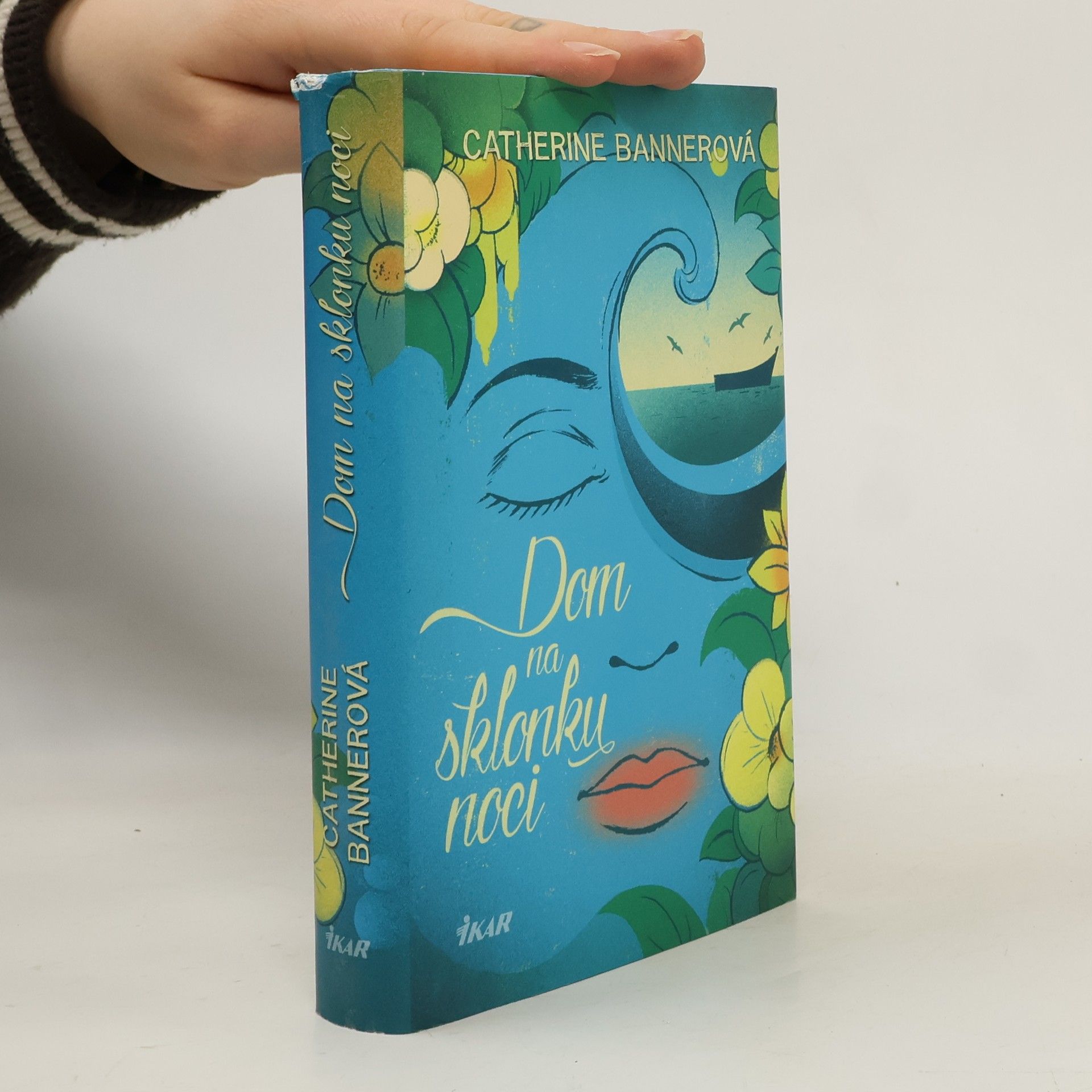 Catherine Banner Dom na sklonku noci