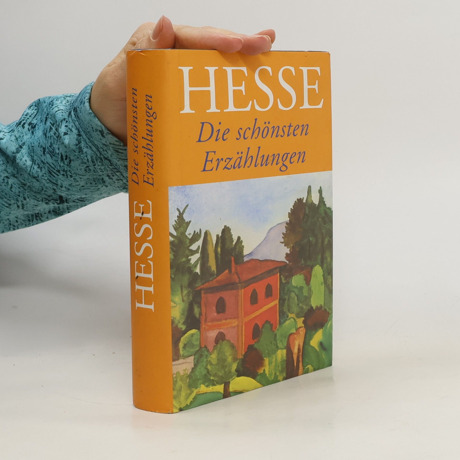 Hermann Hesse Die schönsten Erzählungen