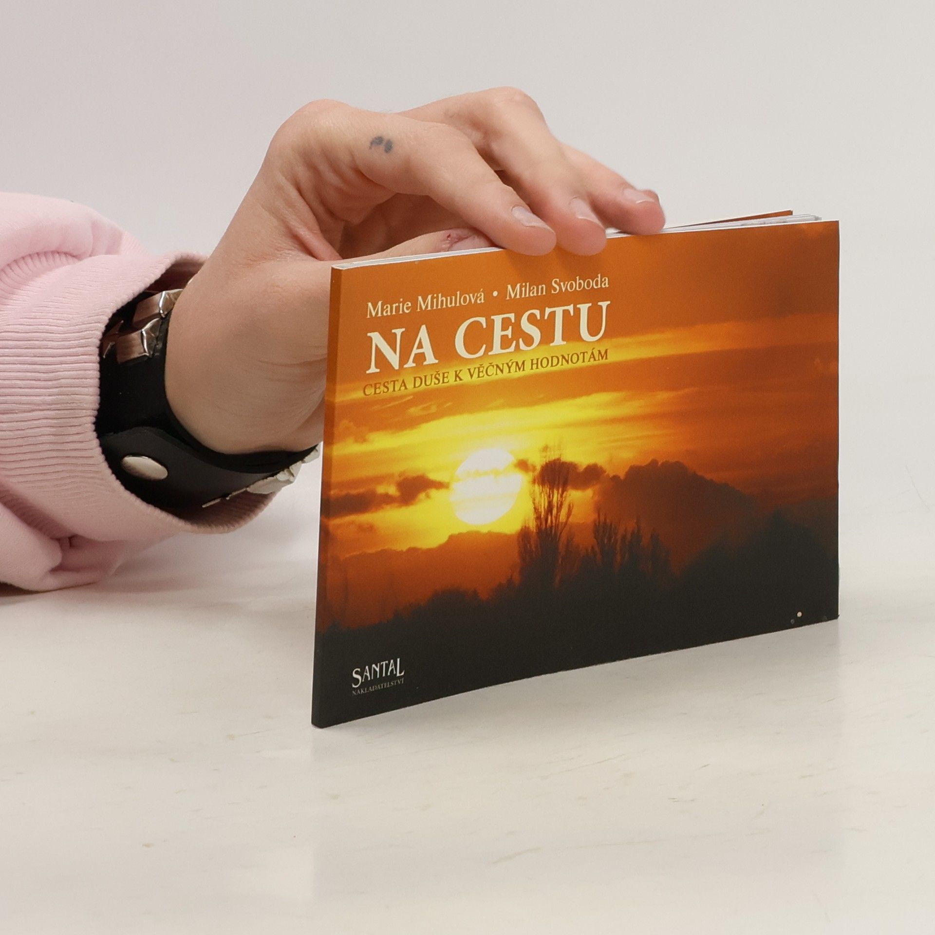 Marie Mihulová Na cestu