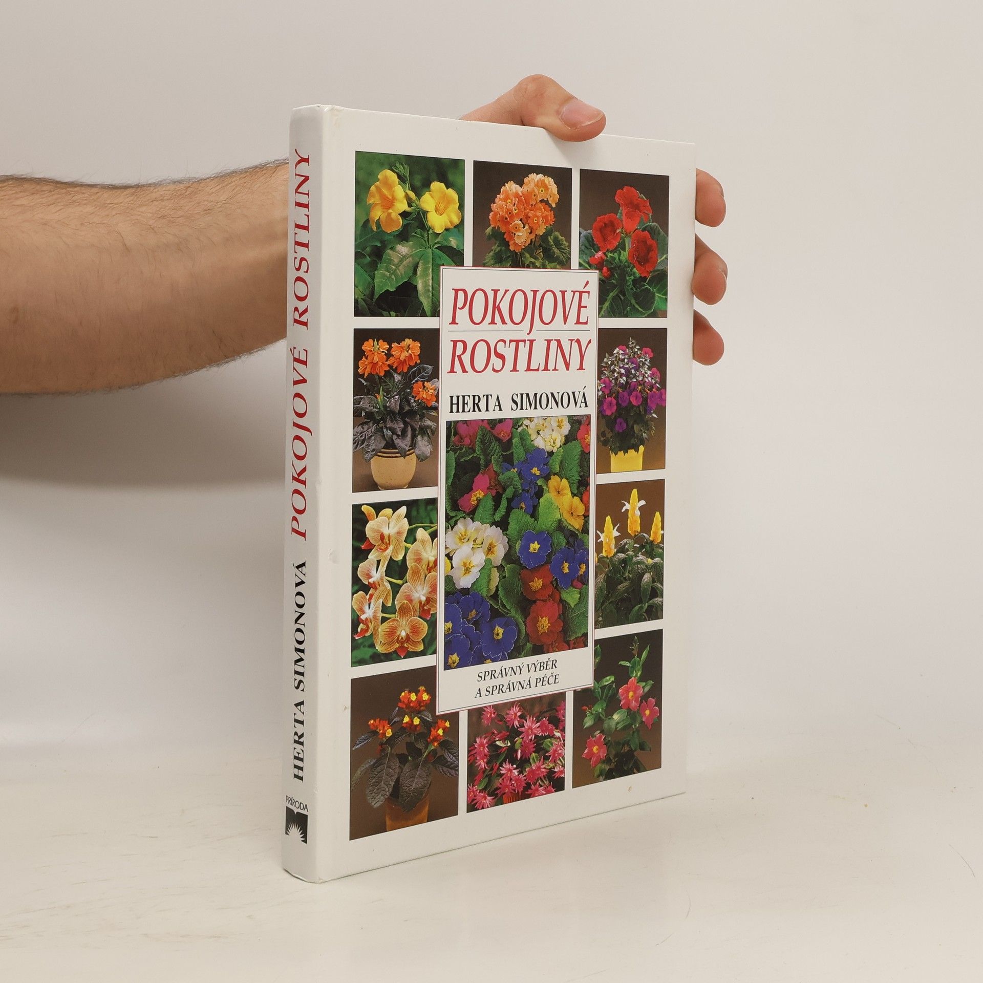 Herta Simon Pokojové rostliny