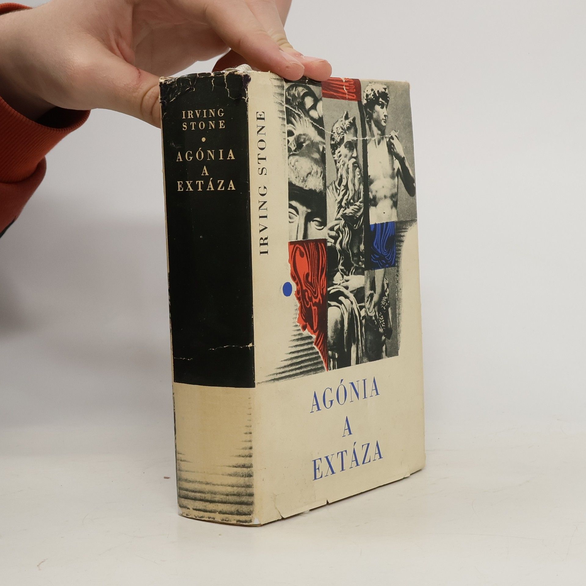 Irving Stone Agónia a extáza