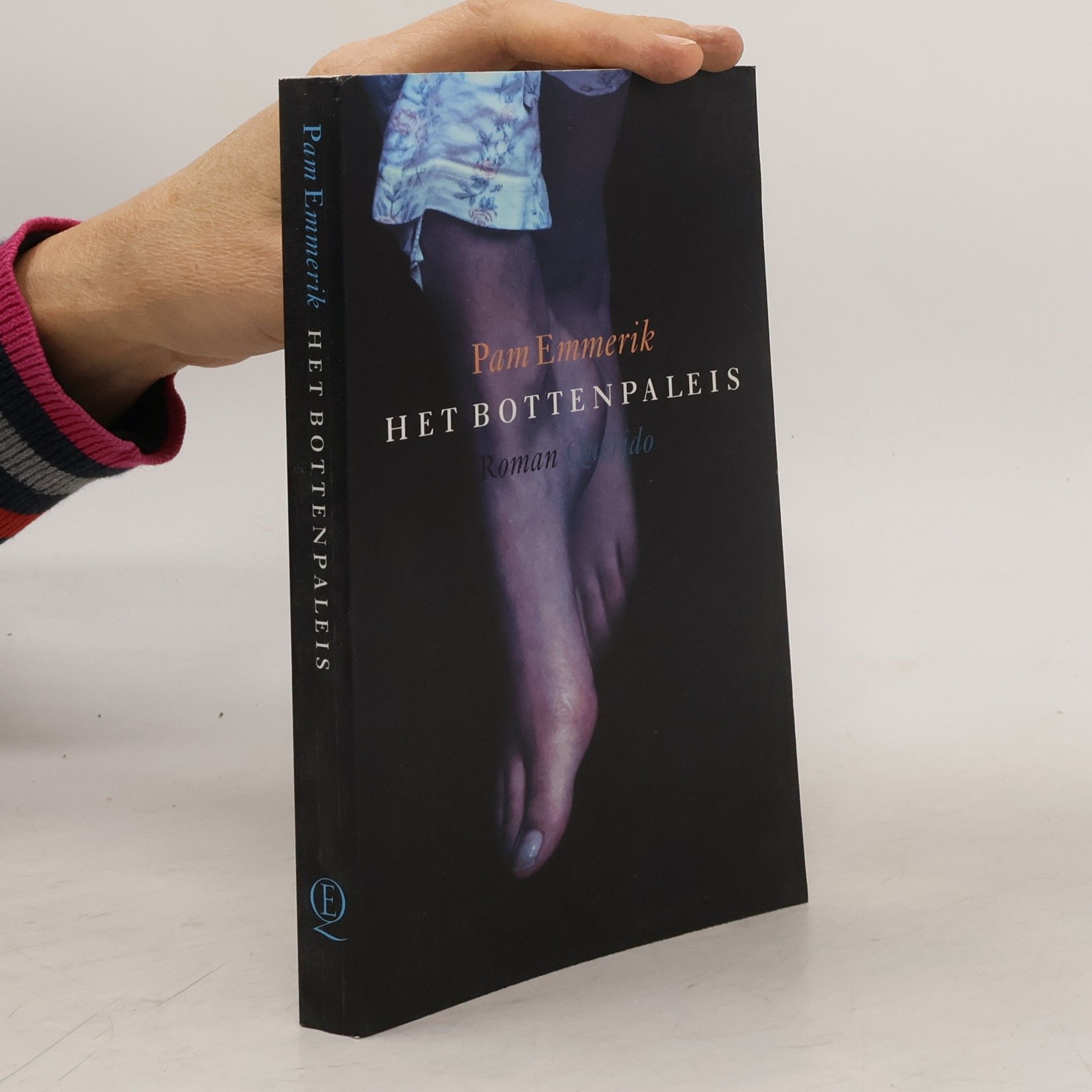 Pam Emmerik Het bottenpaleis