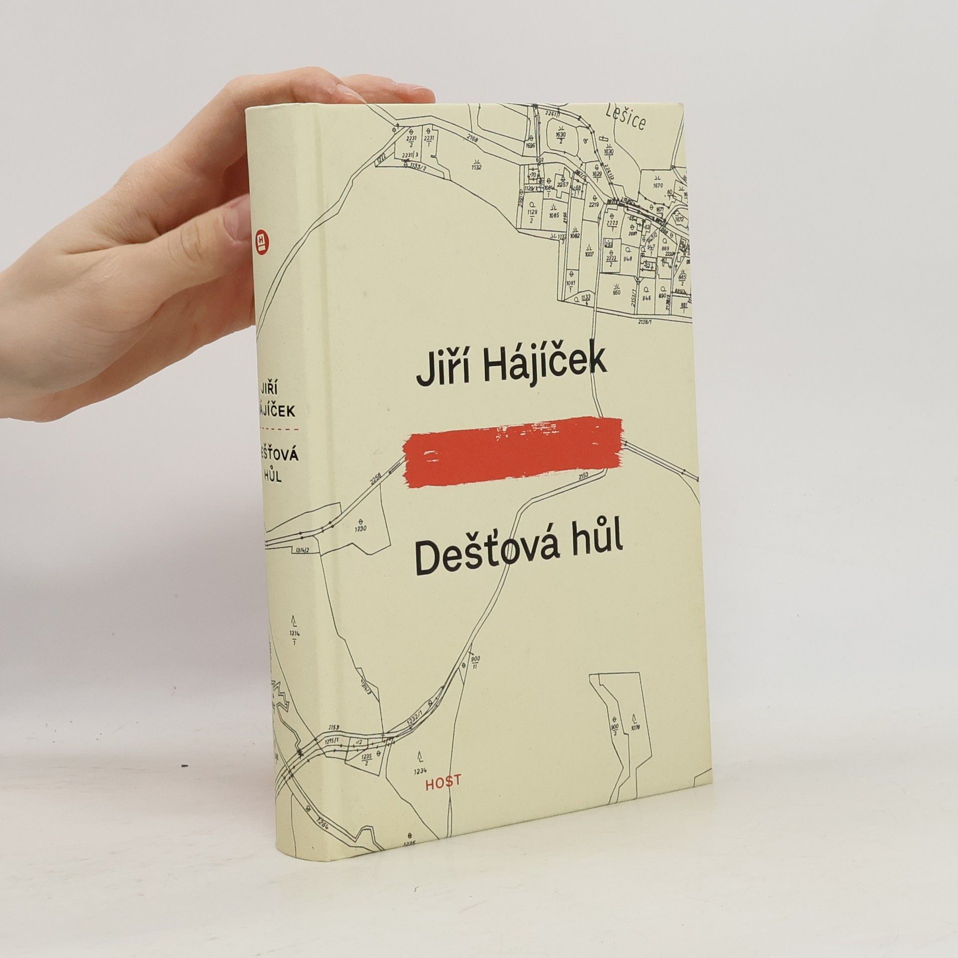 Jiří Hájíček Dešťová hůl