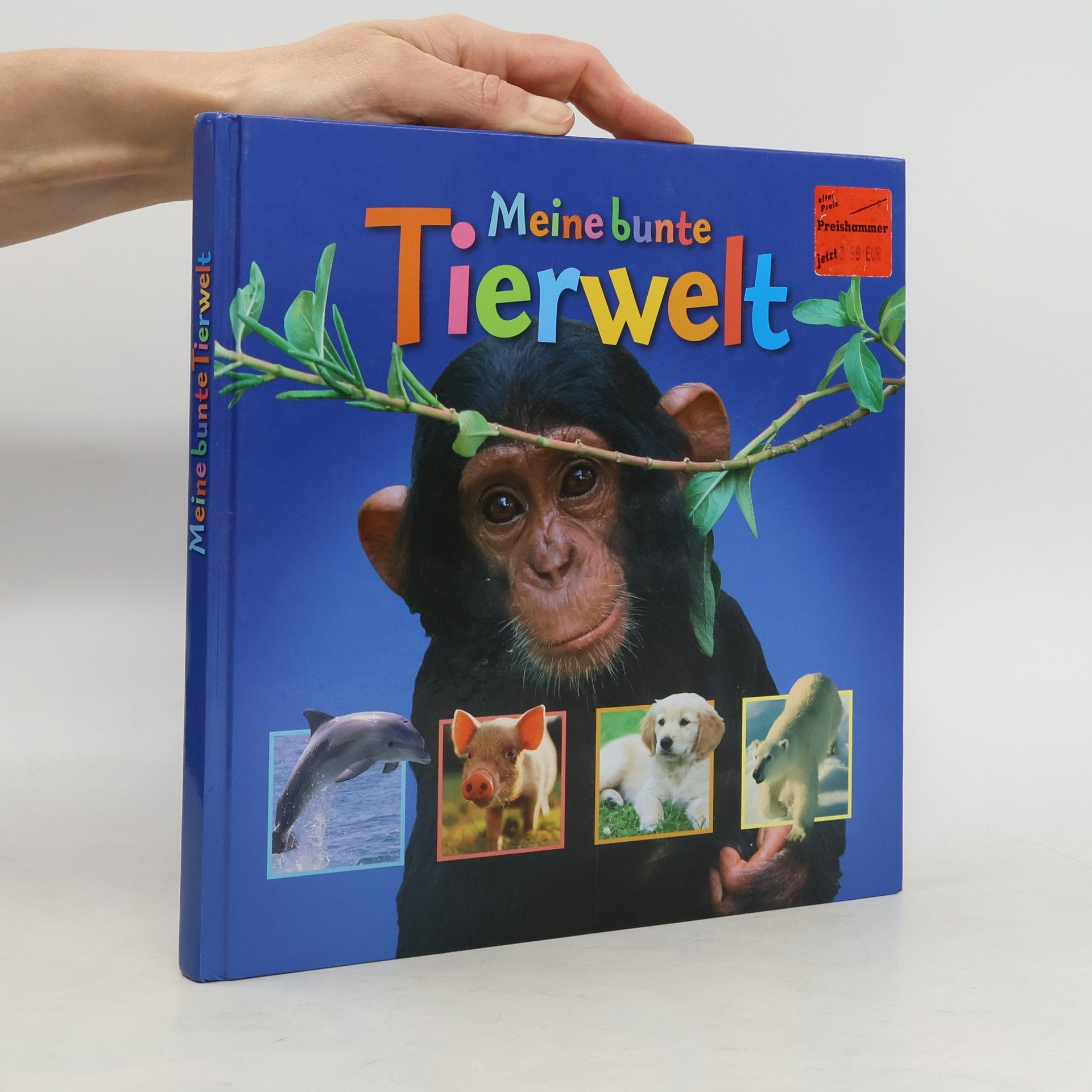 Autorenkollektiv Meine bunte Tierwelt