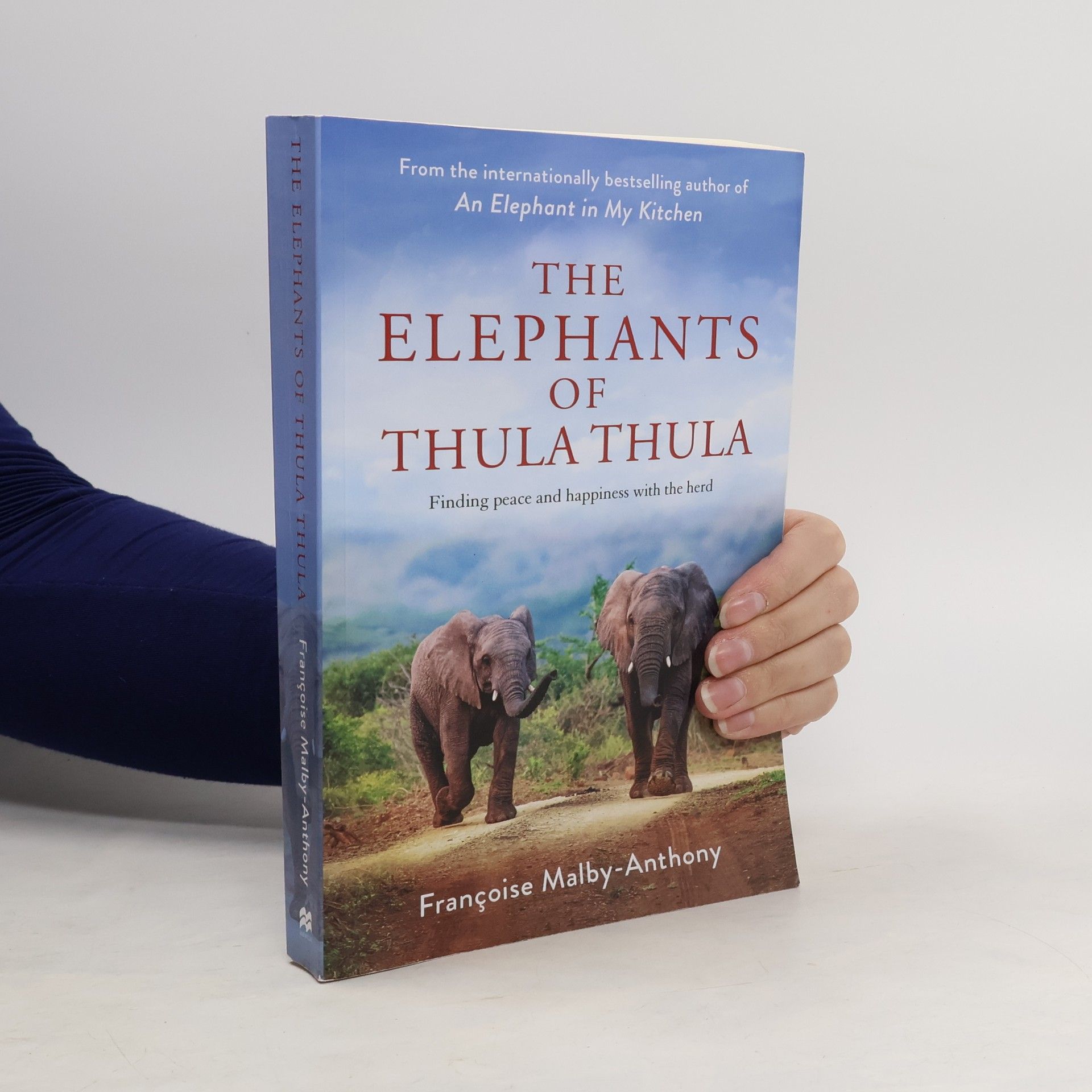 The Elephants of Thula Thula