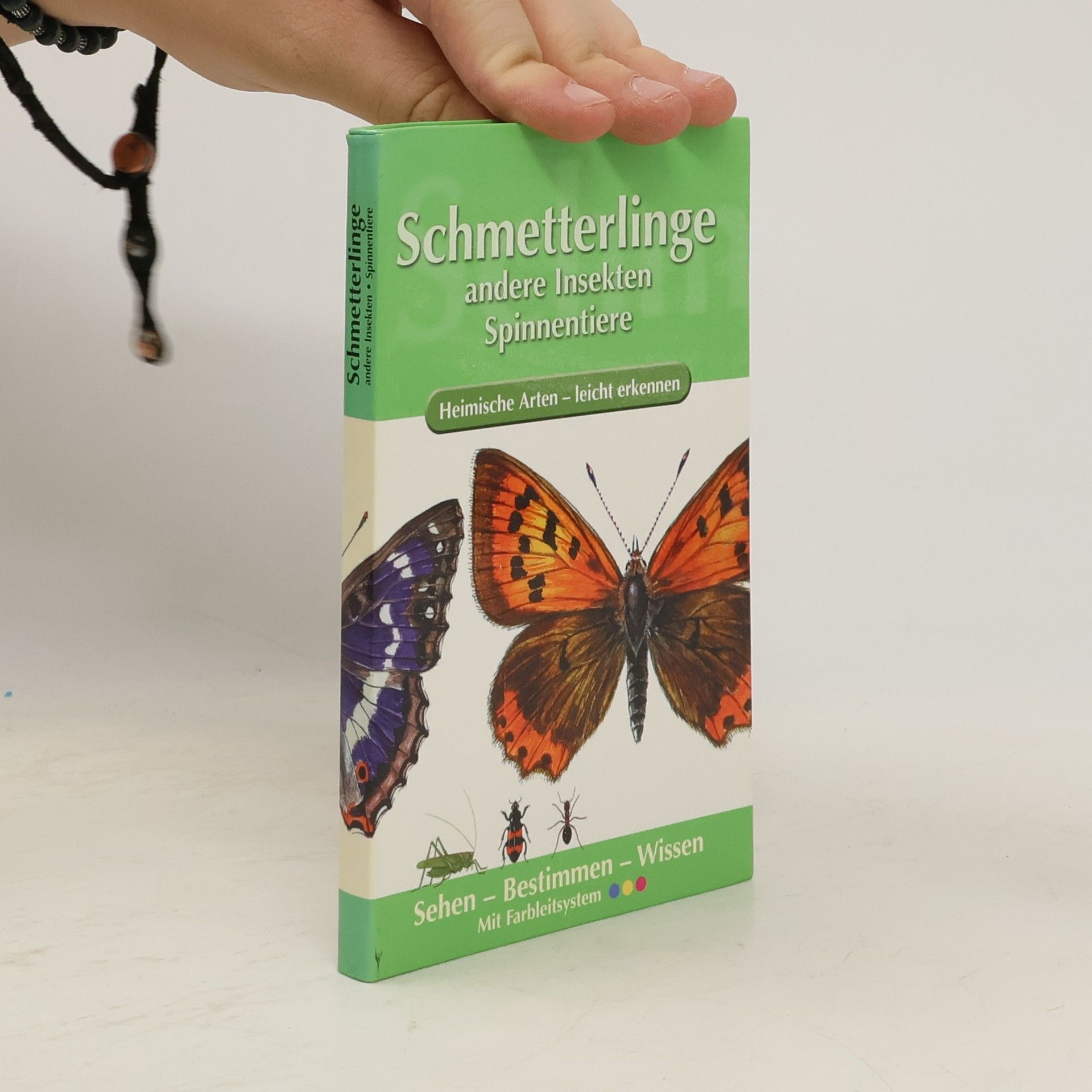 Autorenkollektiv Schmetterlinge, andere Insekten, Spinnentiere