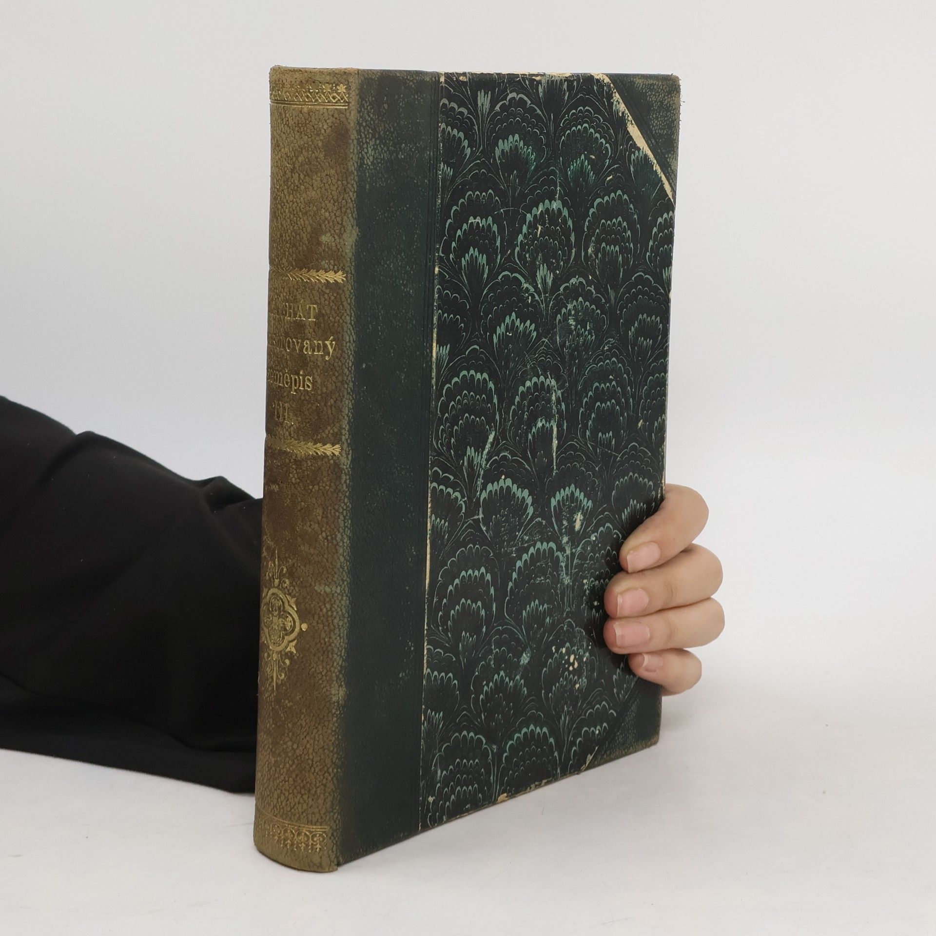 Kolektiv autorů Ilustrovaný zeměpis všech dílů světa. Rukověť zeměpisu všeobecného i zvláštního (oblastního). Díl třetí